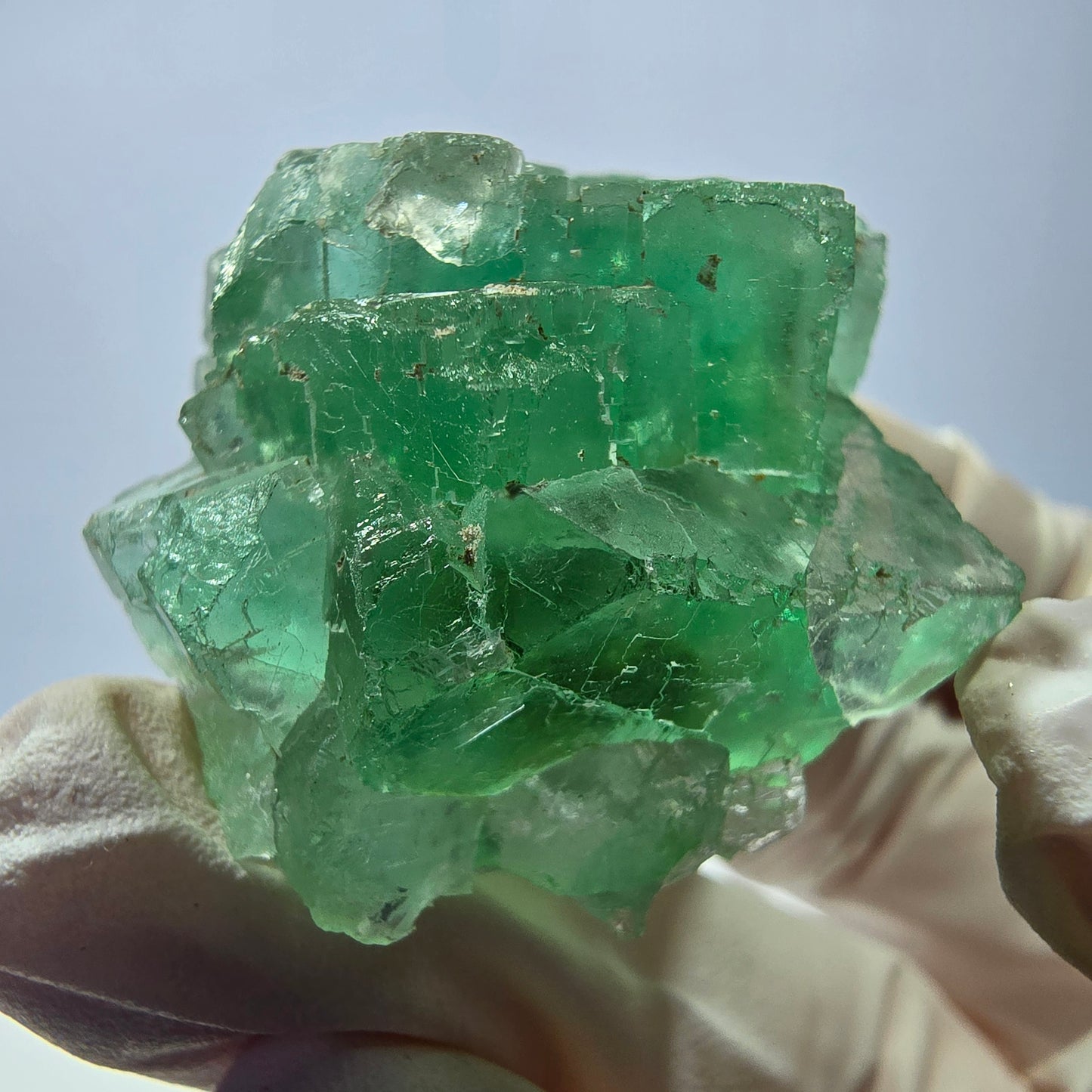 Spécimen de cube de fluorite fantôme transparente, vert parqueté, Okorusu, Namibie, 46 x 35 x 21 mm
