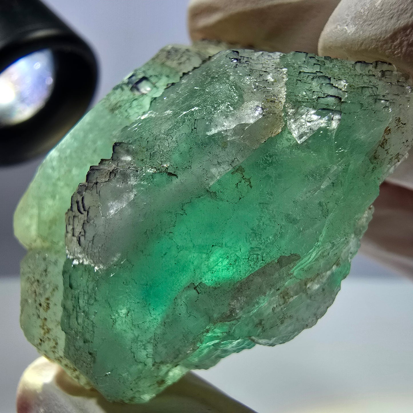 Spécimen de cube de fluorite fantôme transparente, vert parqueté, Okorusu, Namibie, 44 x 43 x 20 mm