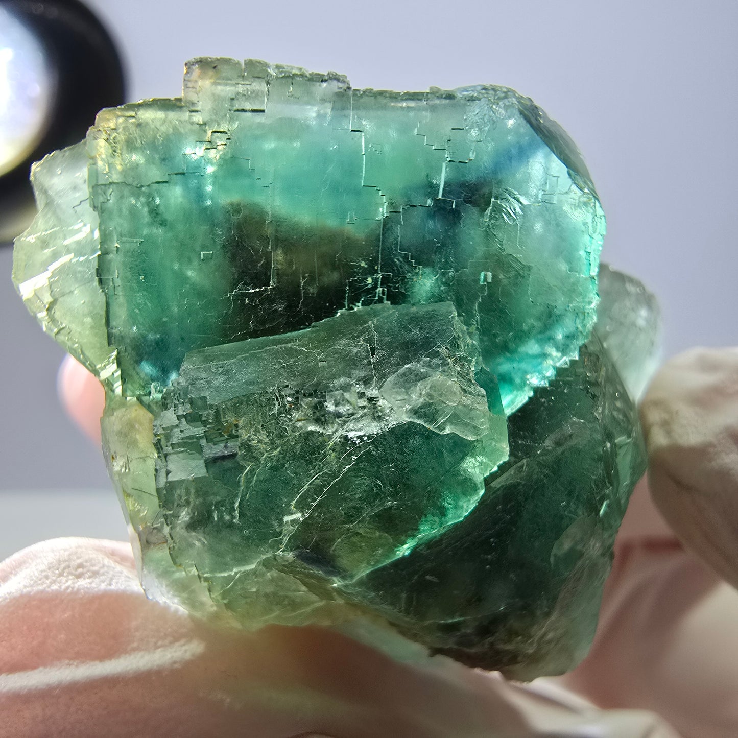 Spécimen de cube de fluorite fantôme transparente, vert parqueté, Okorusu, Namibie, 43 x 40 x 23 mm