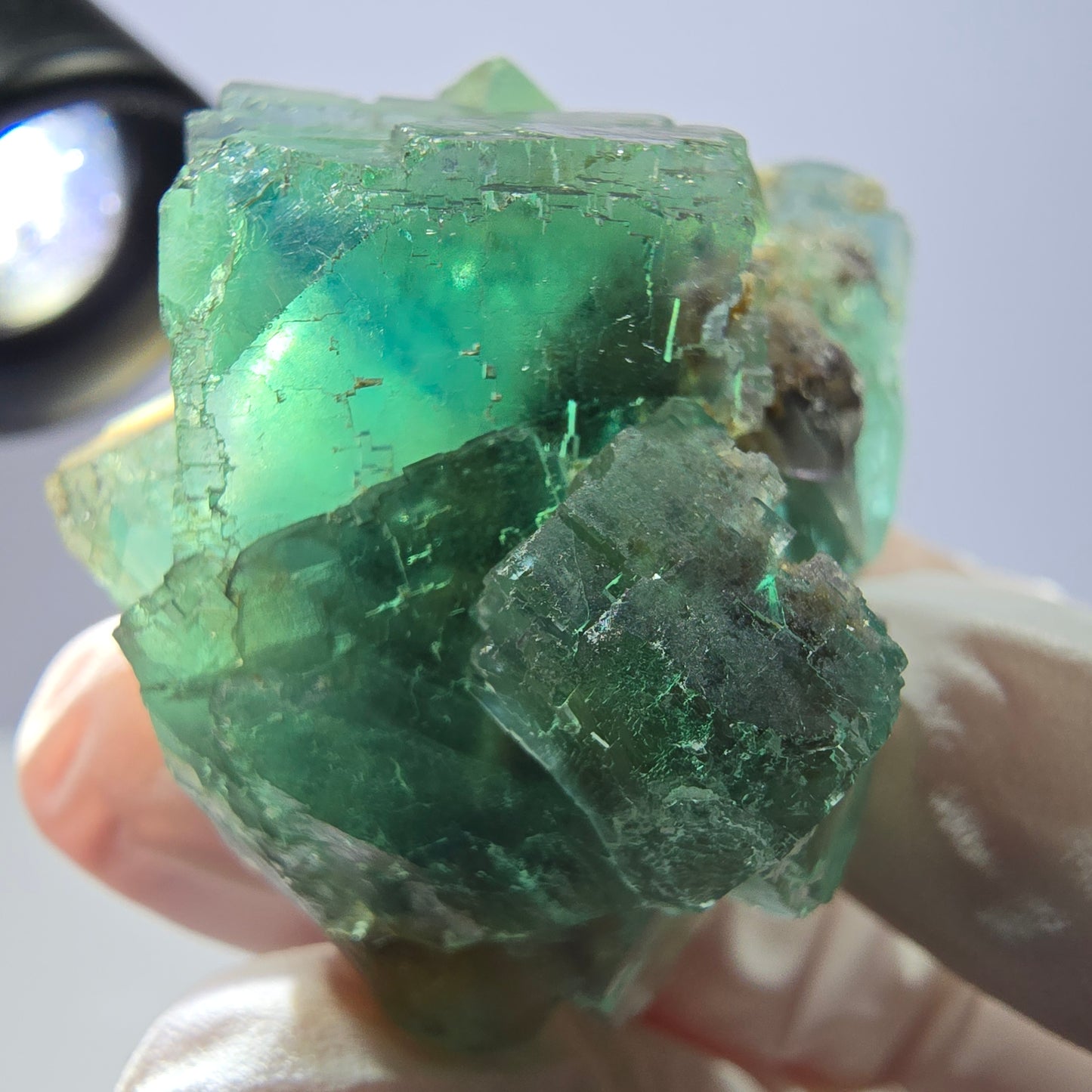 Spécimen de cube de fluorite fantôme transparente, vert parqueté, Okorusu, Namibie, 43 x 40 x 23 mm