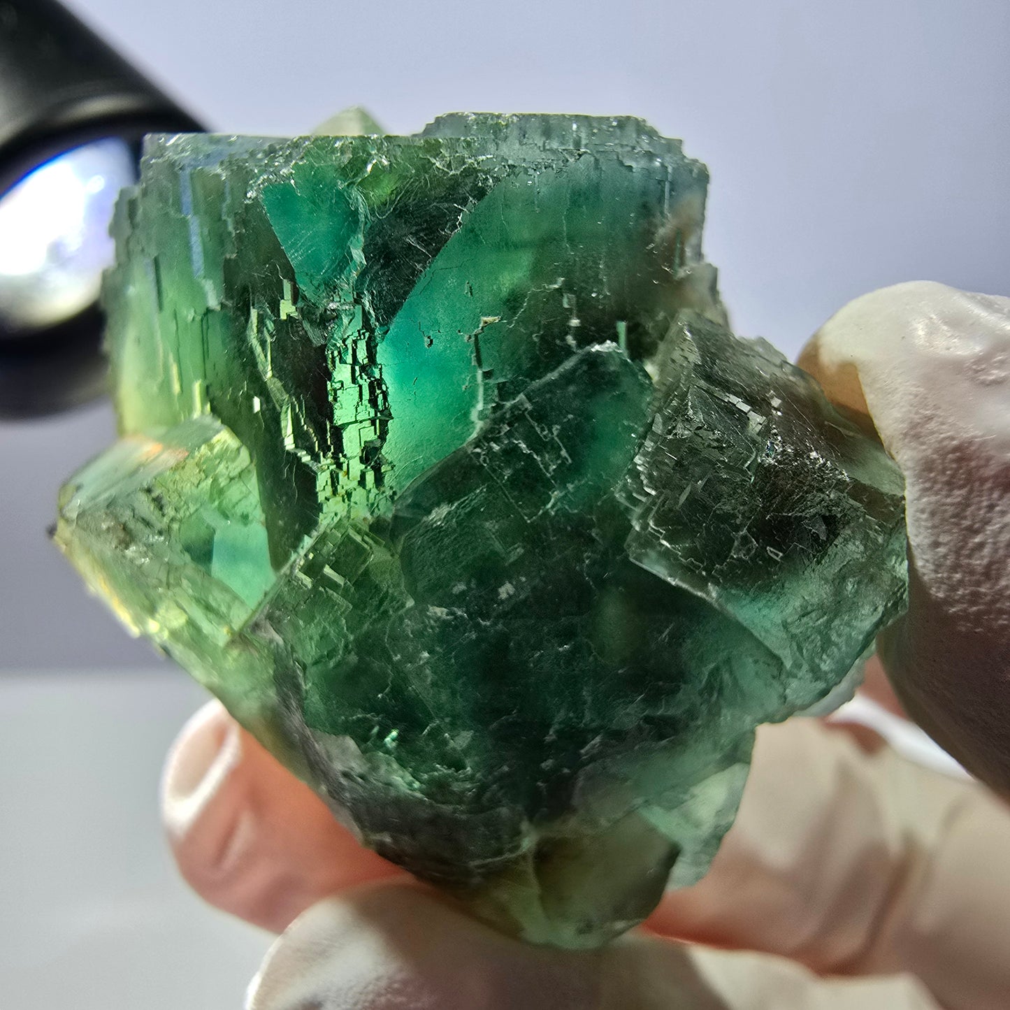Spécimen de cube de fluorite fantôme transparente, vert parqueté, Okorusu, Namibie, 43 x 40 x 23 mm