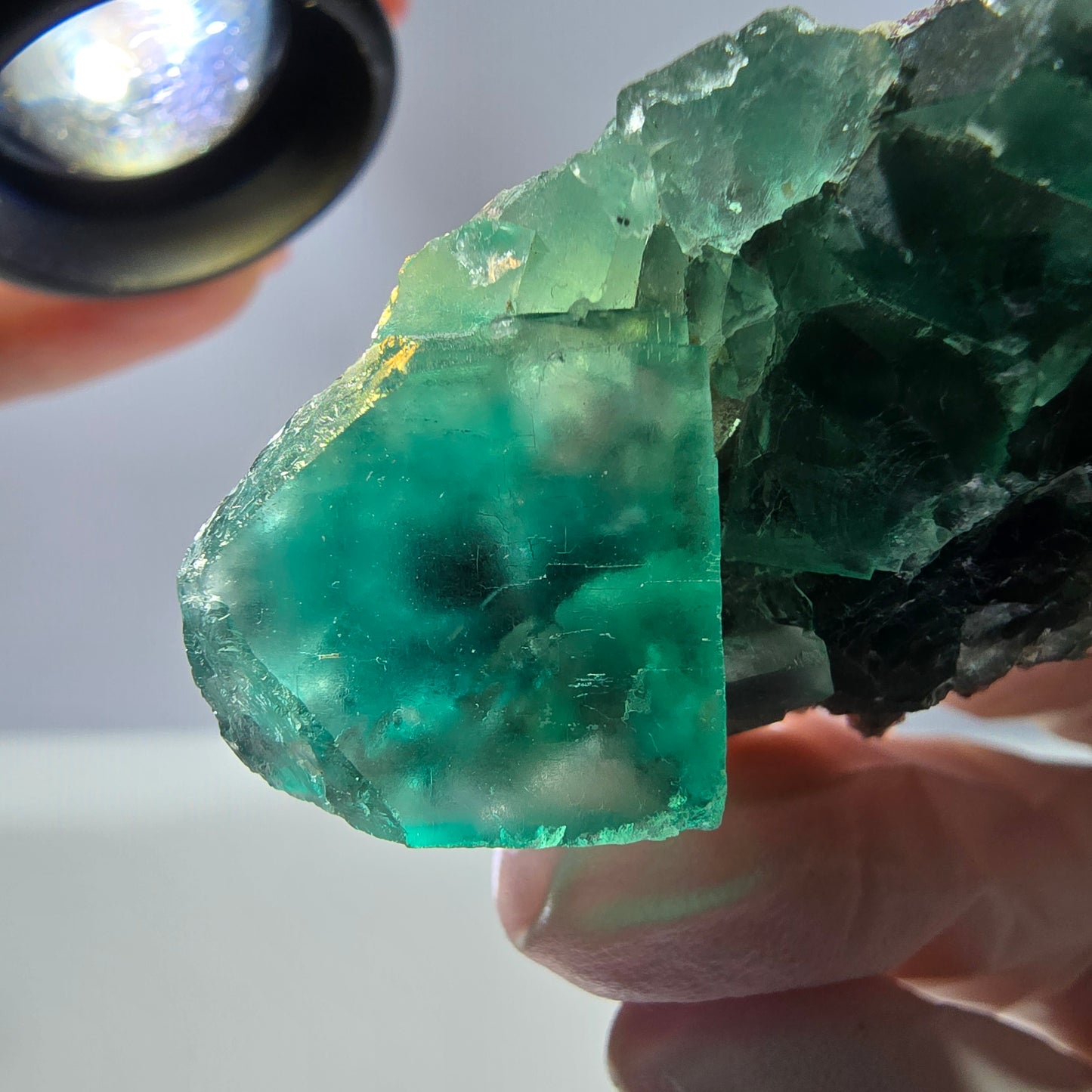 Spécimen de cube de fluorite fantôme transparente, vert parqueté, Okorusu, Namibie, 49 x 31 x 16 mm