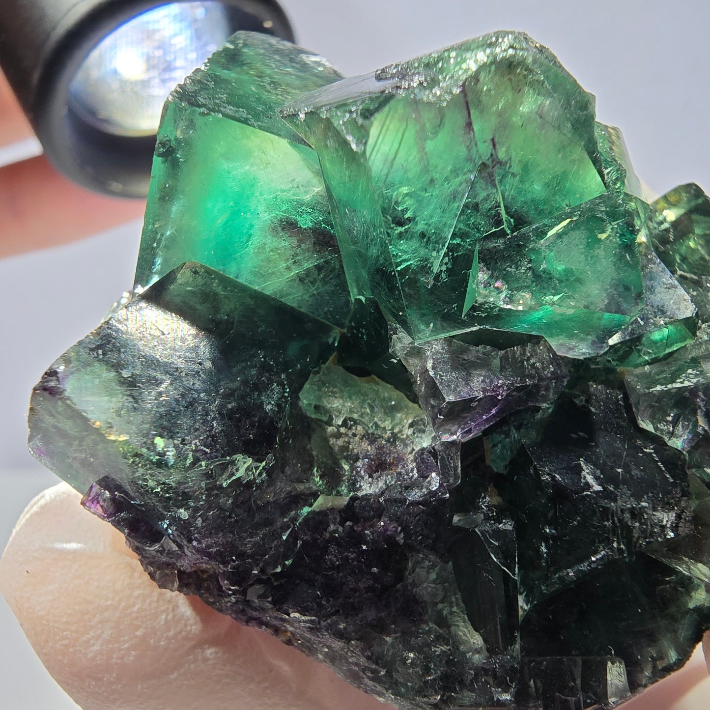 Spécimen de cube de fluorite fantôme, parqueté vert violet Okorusu, Namibie 50*43*30 mm