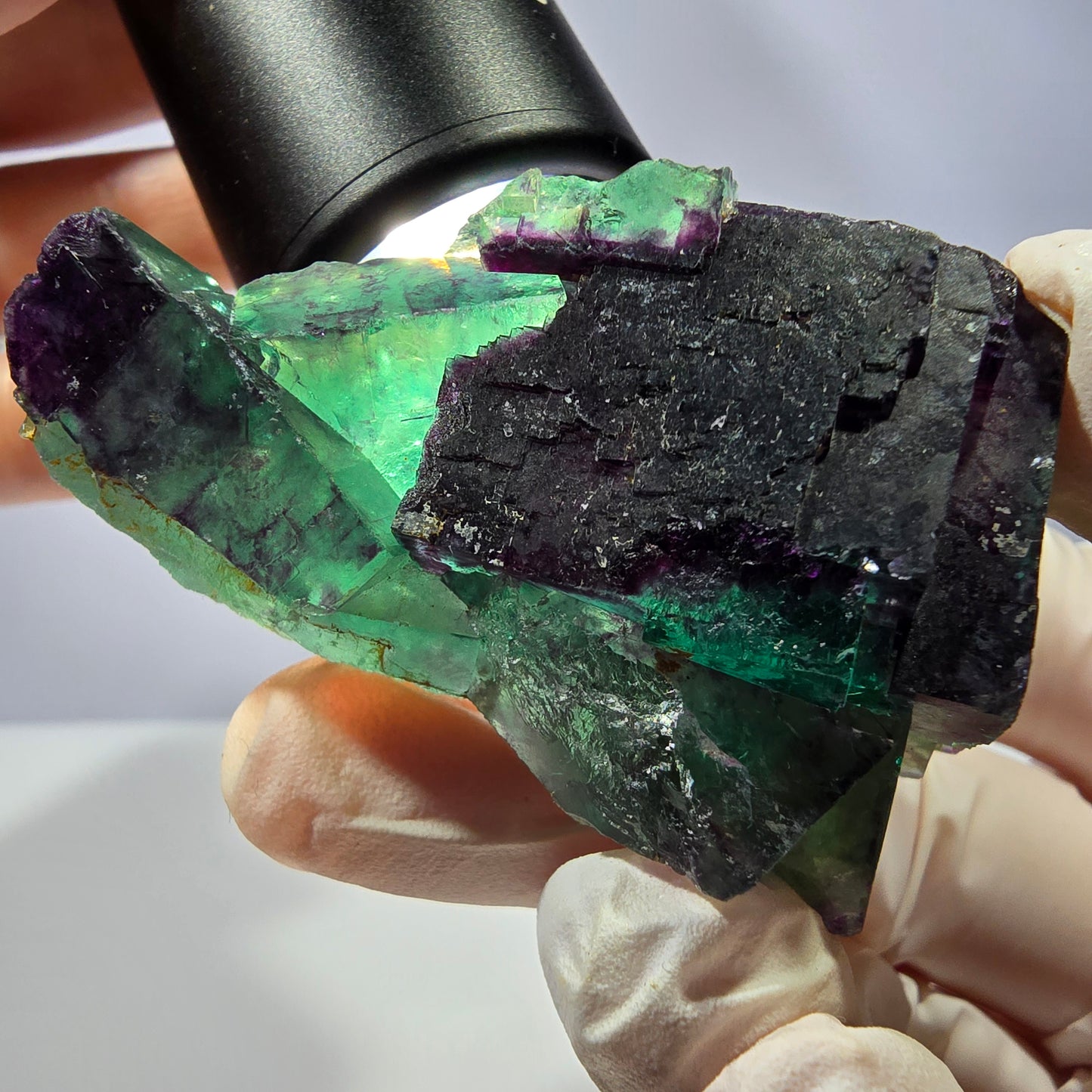 Spécimen de cube de fluorite fantôme, parqueté vert violet Okorusu, Namibie 59*41*24 mm