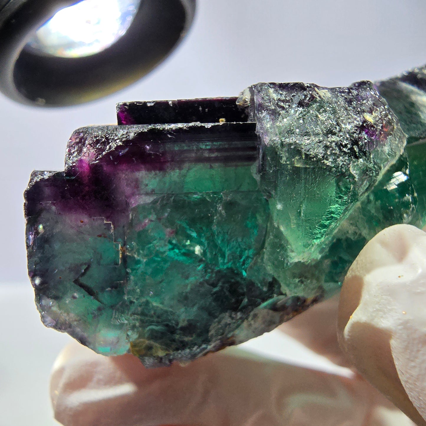 Spécimen de cube de fluorite fantôme, parqueté vert violet Okorusu, Namibie 59*41*24 mm