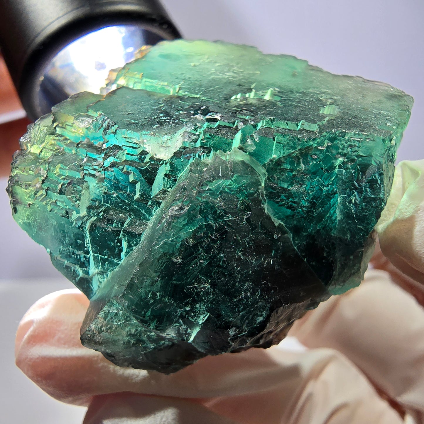 Spécimen de cube de fluorite fantôme, parqueté vert violet Okorusu, Namibie 45*43*31 mm