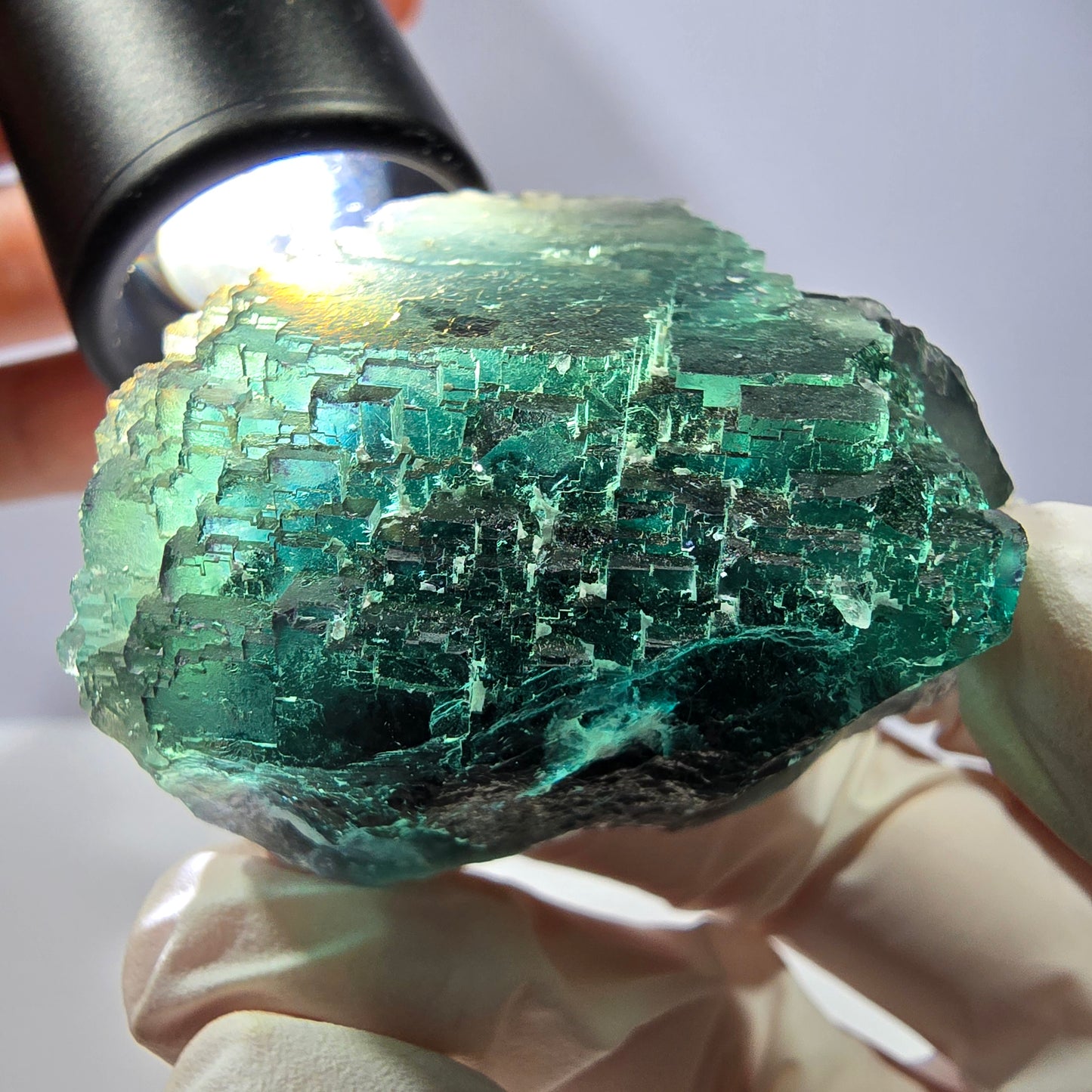 Spécimen de cube de fluorite fantôme, parqueté vert violet Okorusu, Namibie 45*43*31 mm