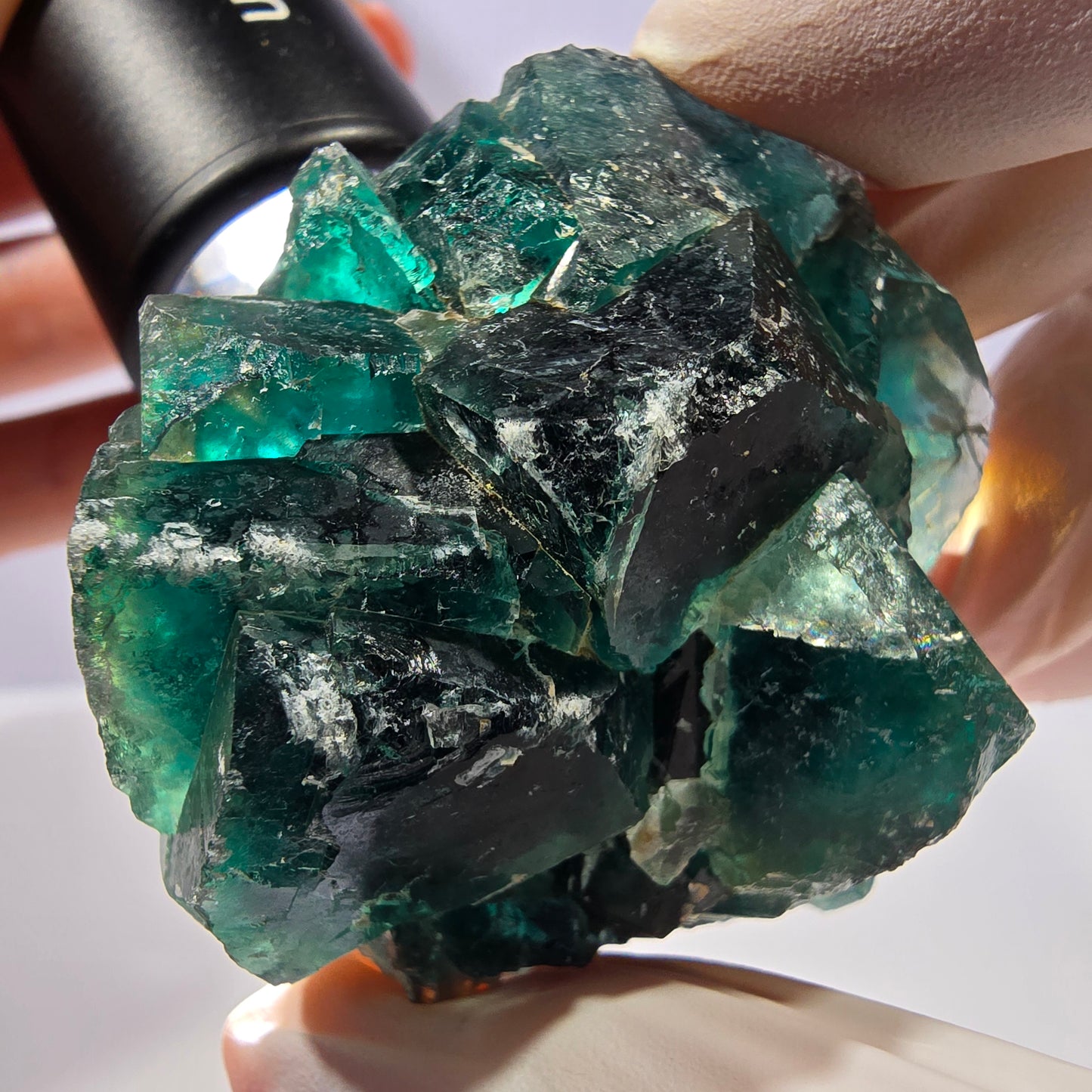 Spécimen de cube de fluorite fantôme, parqueté vert violet Okorusu, Namibie 53*49*28 mm