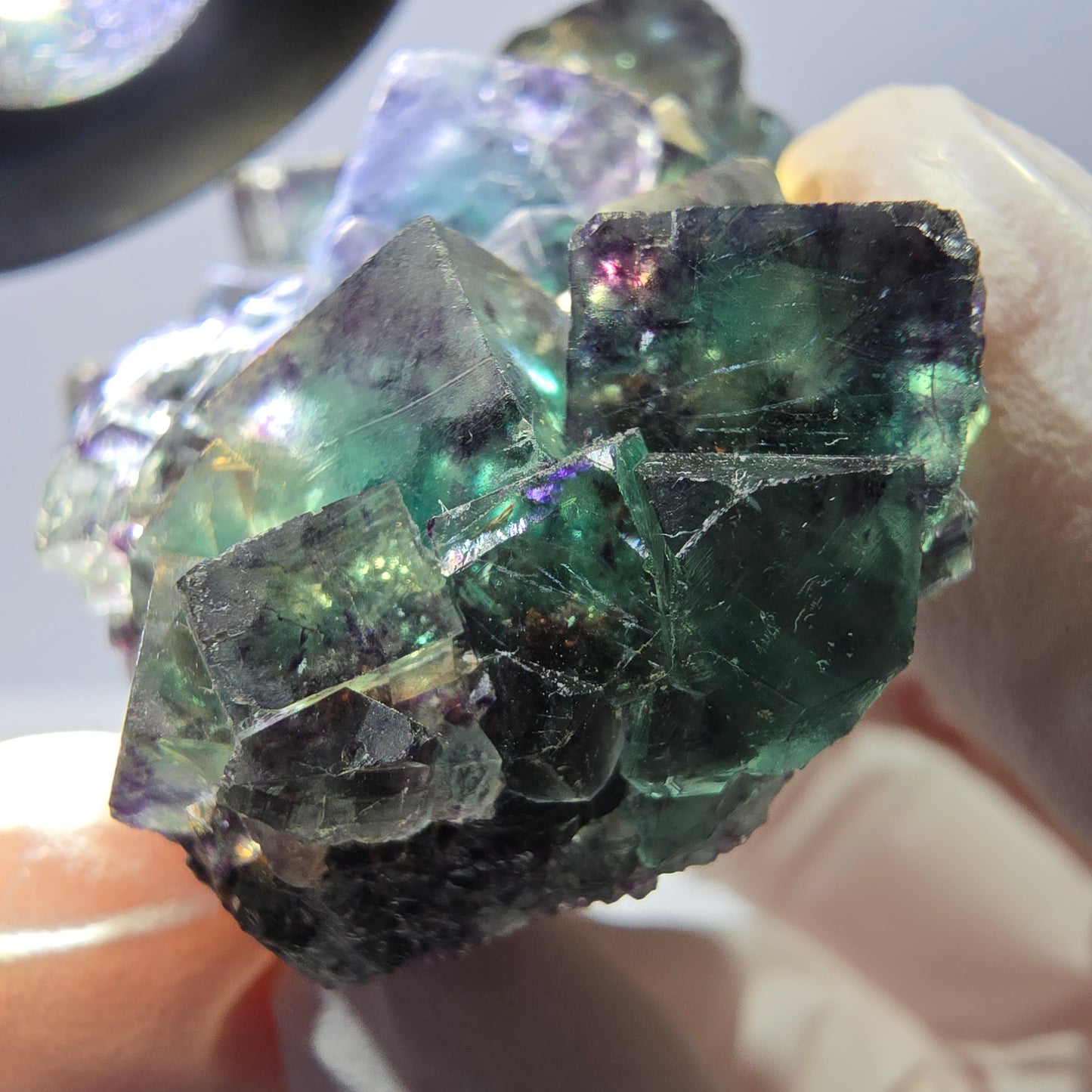 Phantom Fluorite Cube Specimen, parquetted green purple Okorusu, Namibia 52*41*18mm