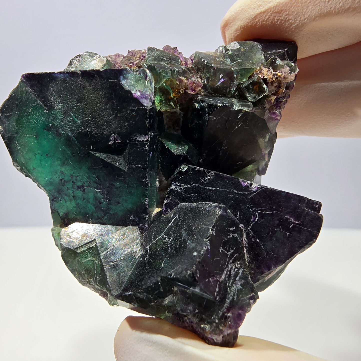Spécimen de cube de fluorite fantôme, parqueté vert violet Okorusu, Namibie 56*43*28 mm