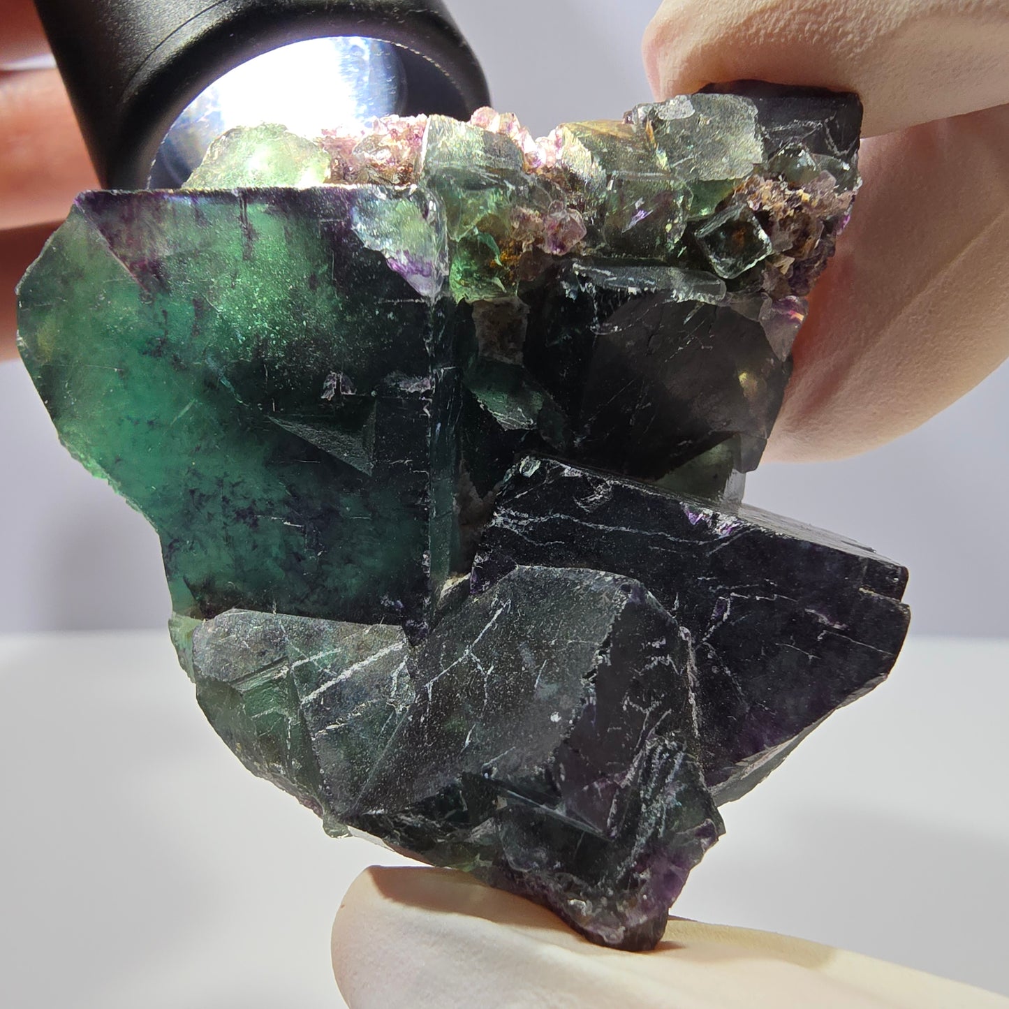 Spécimen de cube de fluorite fantôme, parqueté vert violet Okorusu, Namibie 56*43*28 mm