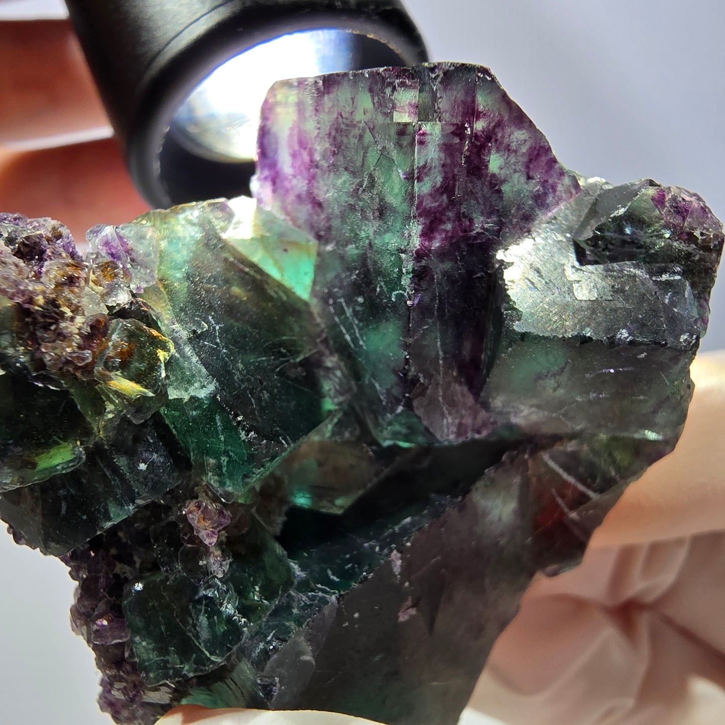 Spécimen de cube de fluorite fantôme, parqueté vert violet Okorusu, Namibie 56*43*28 mm