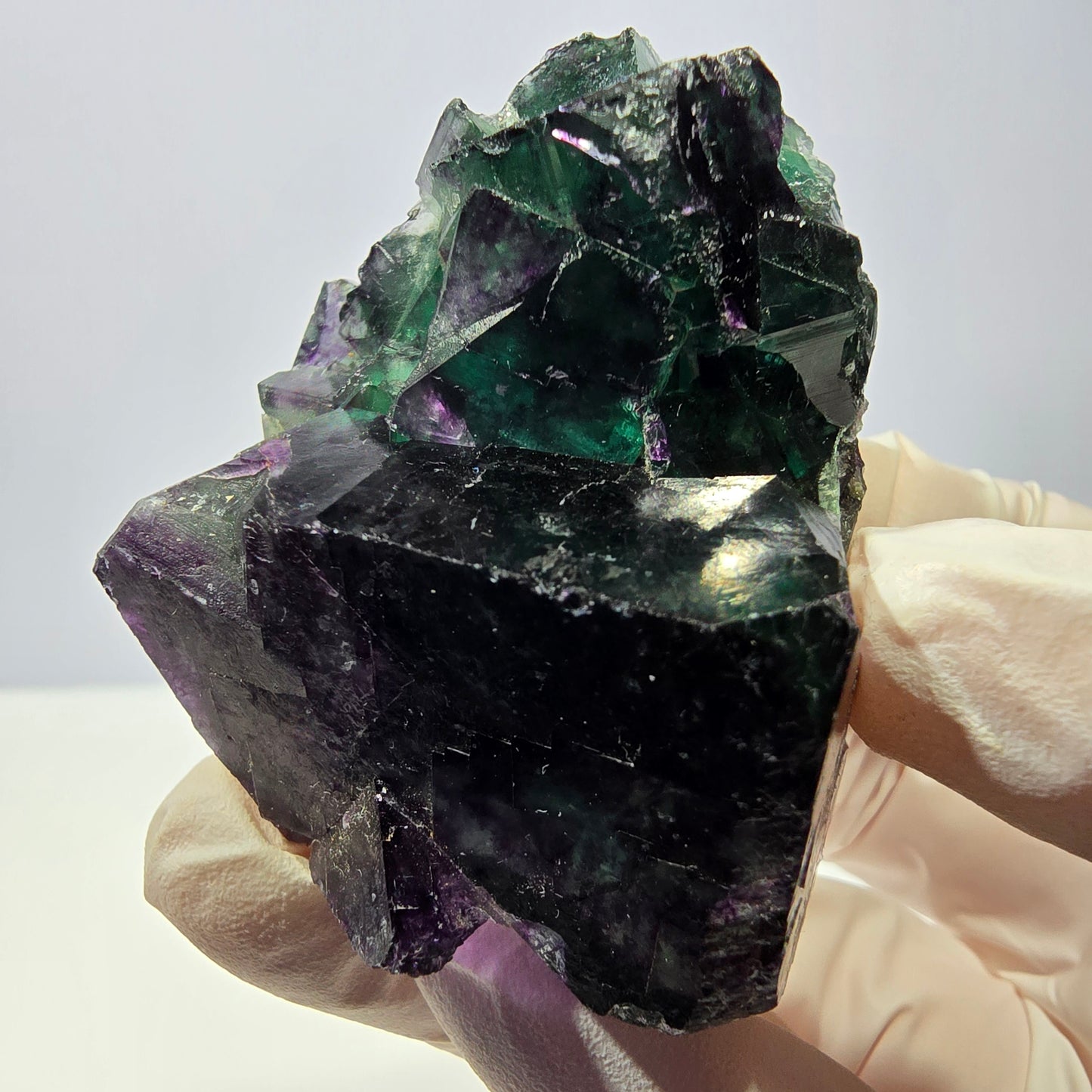 Spécimen de cube de fluorite fantôme, parqueté vert violet Okorusu, Namibie 58*40*27 mm