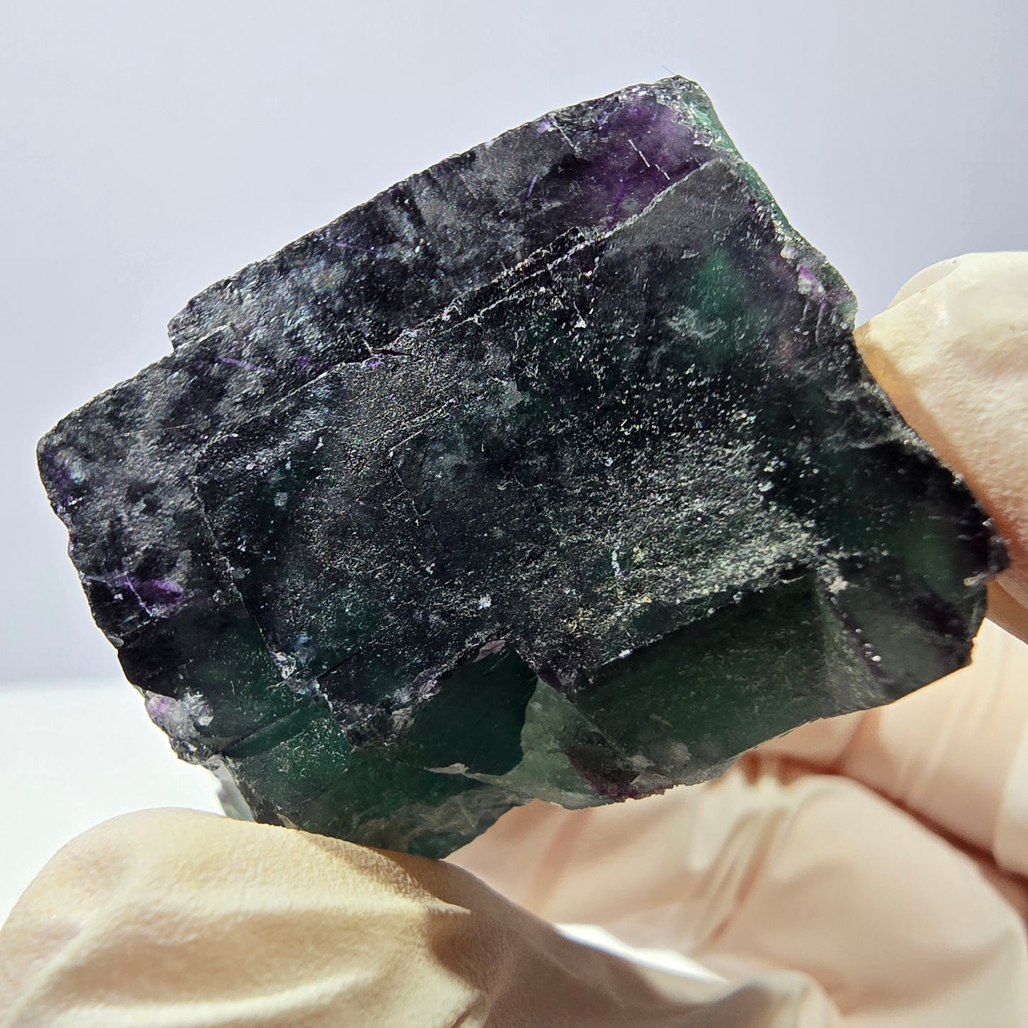 Spécimen de cube de fluorite fantôme, parqueté vert violet Okorusu, Namibie 41*41*25 mm