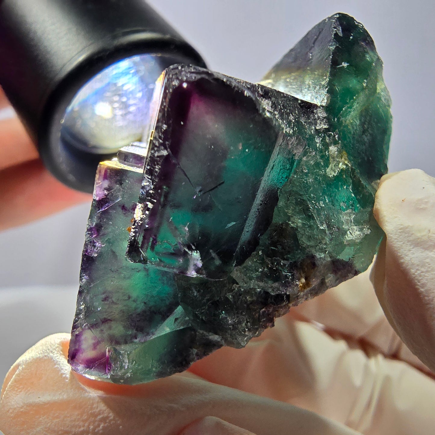 Spécimen de cube de fluorite fantôme, parqueté vert violet Okorusu, Namibie 41*41*25 mm