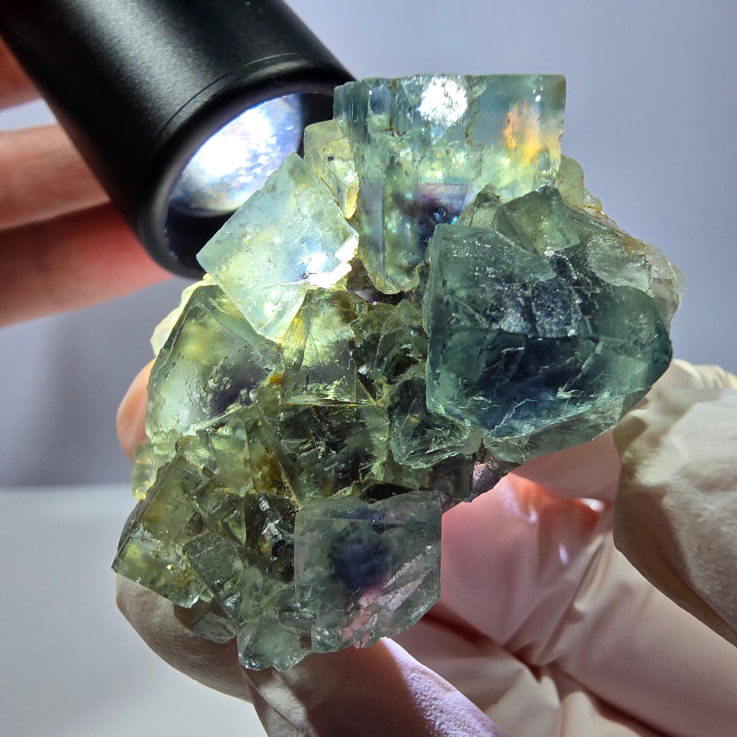 Spécimen de cube de fluorite fantôme, parqueté vert violet Okorusu, Namibie 49*34*13 mm