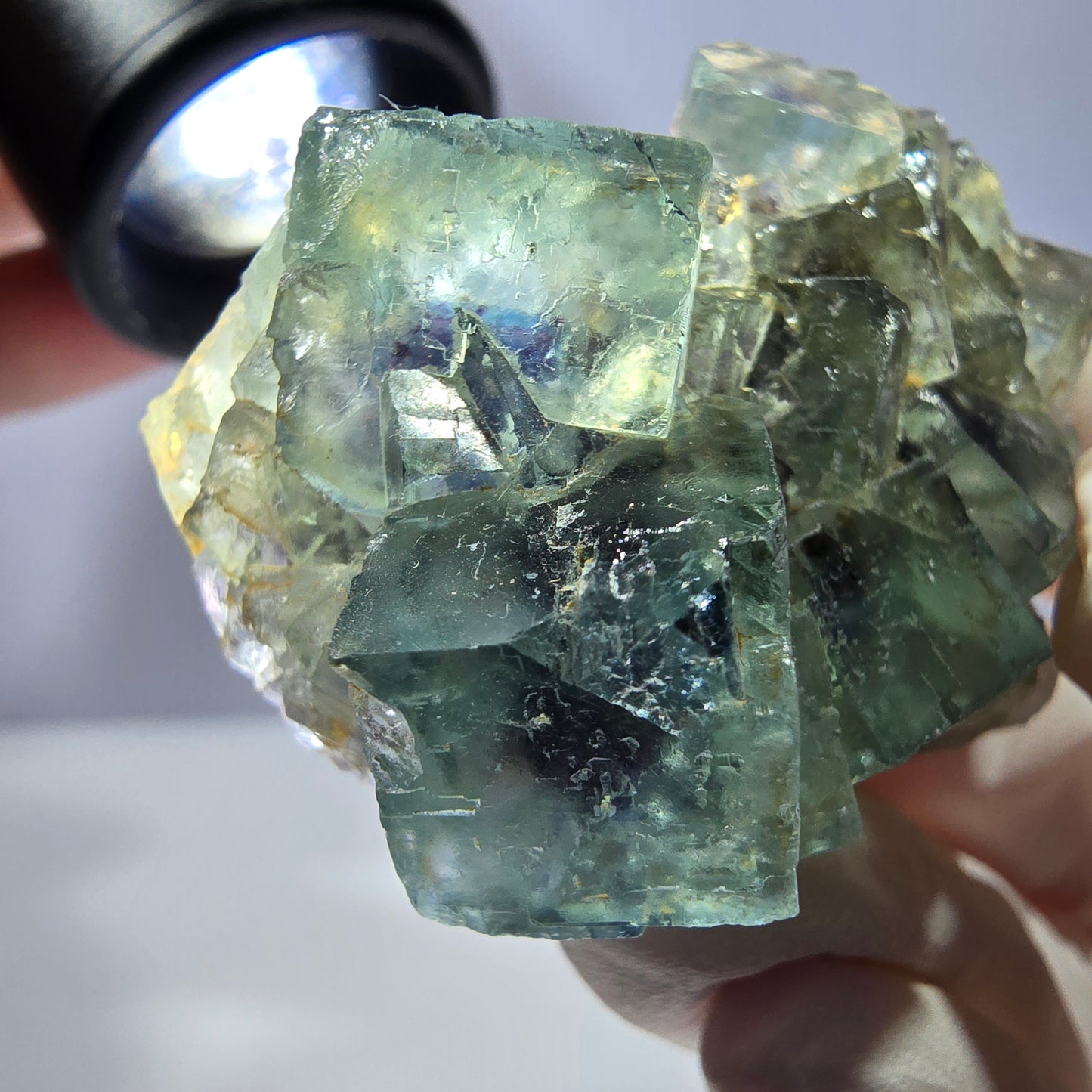 Spécimen de cube de fluorite fantôme, parqueté vert violet Okorusu, Namibie 49*34*13 mm