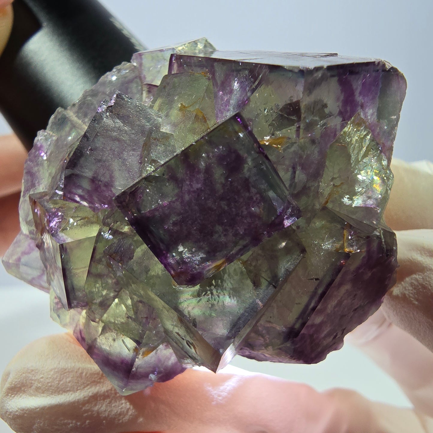 Spécimen de cube de fluorite fantôme, parqueté vert violet Okorusu, Namibie 46*41*26 mm