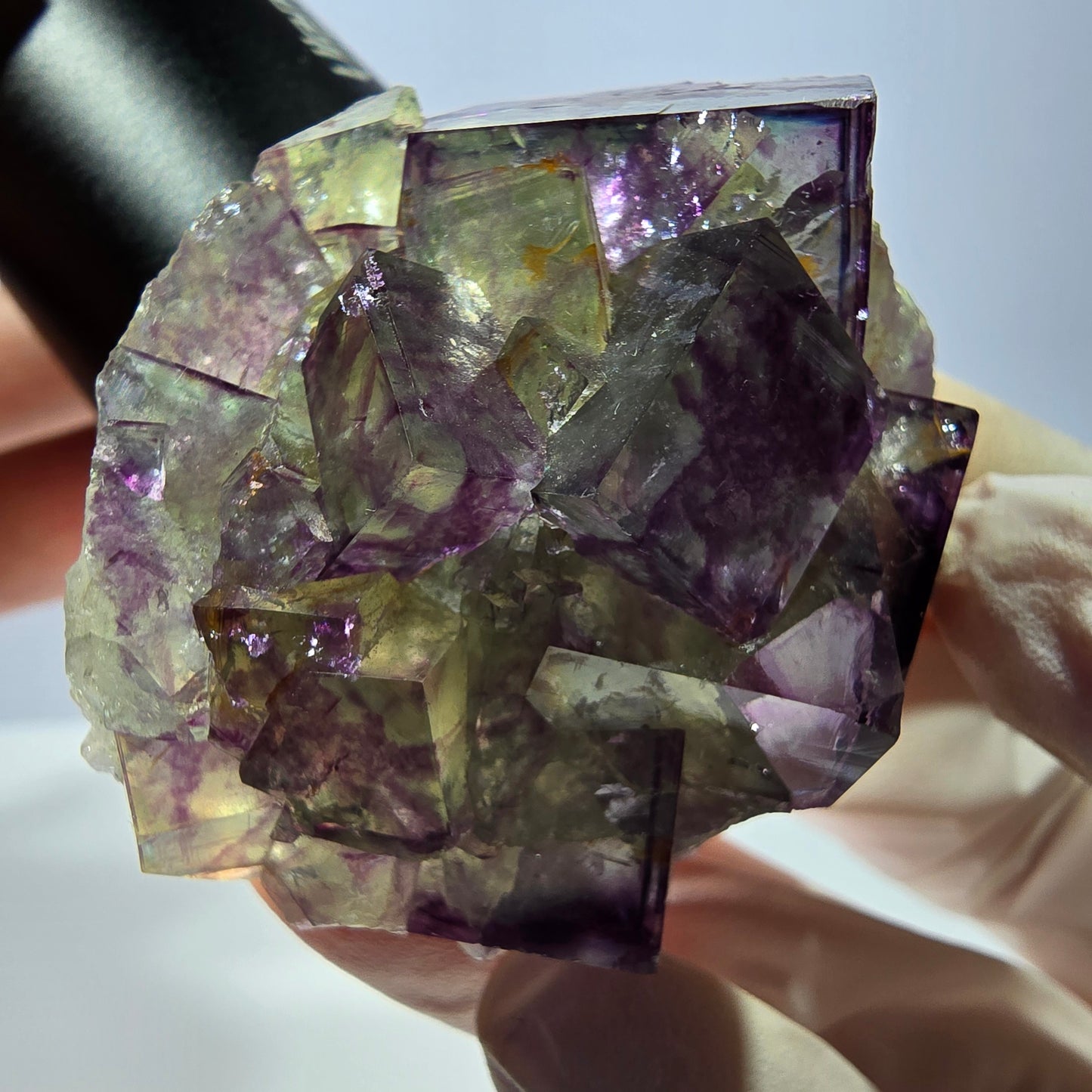 Spécimen de cube de fluorite fantôme, parqueté vert violet Okorusu, Namibie 46*41*26 mm