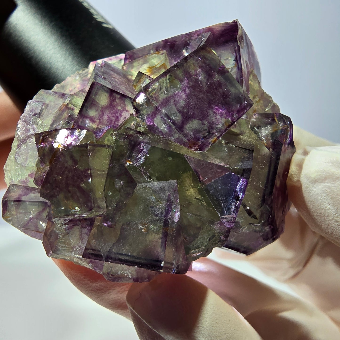Spécimen de cube de fluorite fantôme, parqueté vert violet Okorusu, Namibie 46*41*26 mm