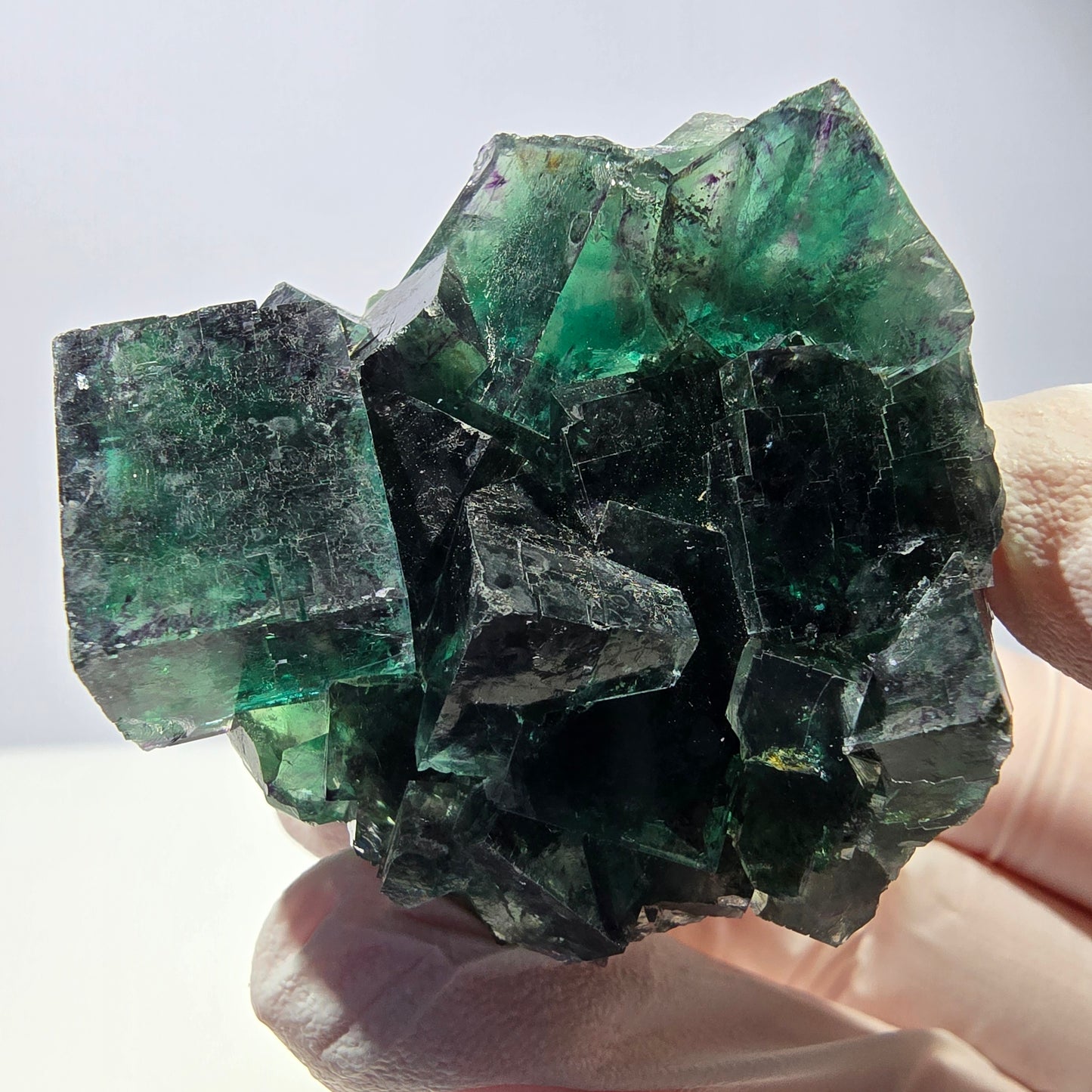 Spécimen de cube de fluorite fantôme, parqueté vert violet Okorusu, Namibie 52*46*32mm
