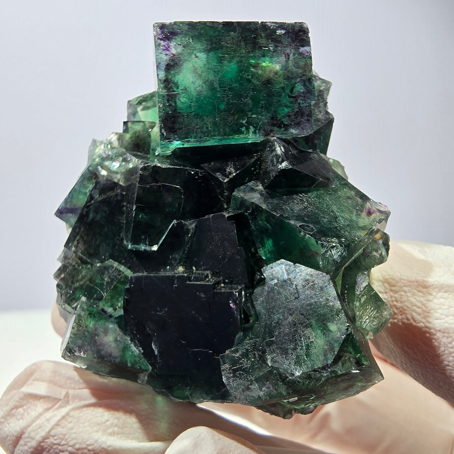 Spécimen de cube de fluorite fantôme, parqueté vert violet Okorusu, Namibie 52*46*32mm