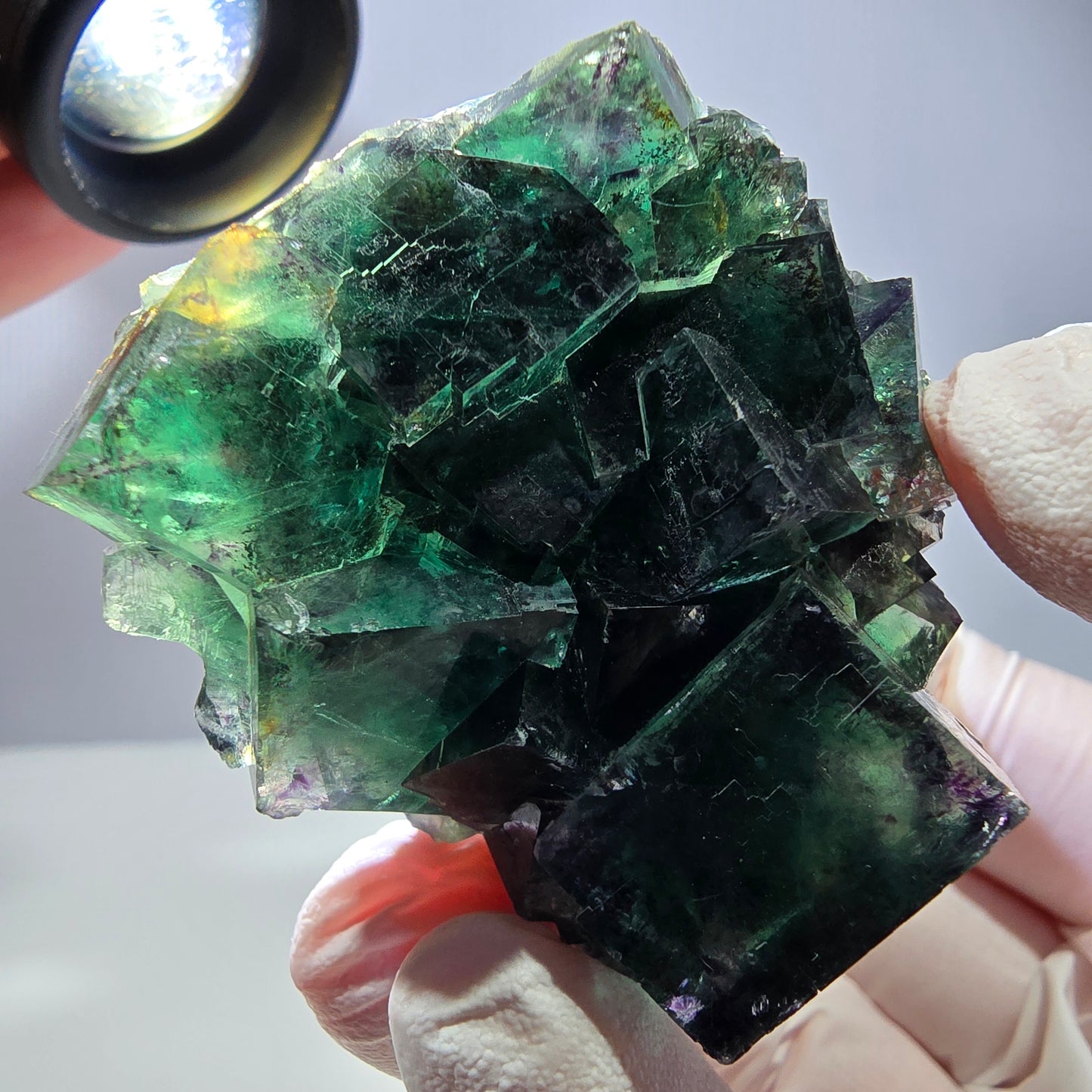 Spécimen de cube de fluorite fantôme, parqueté vert violet Okorusu, Namibie 52*46*32mm