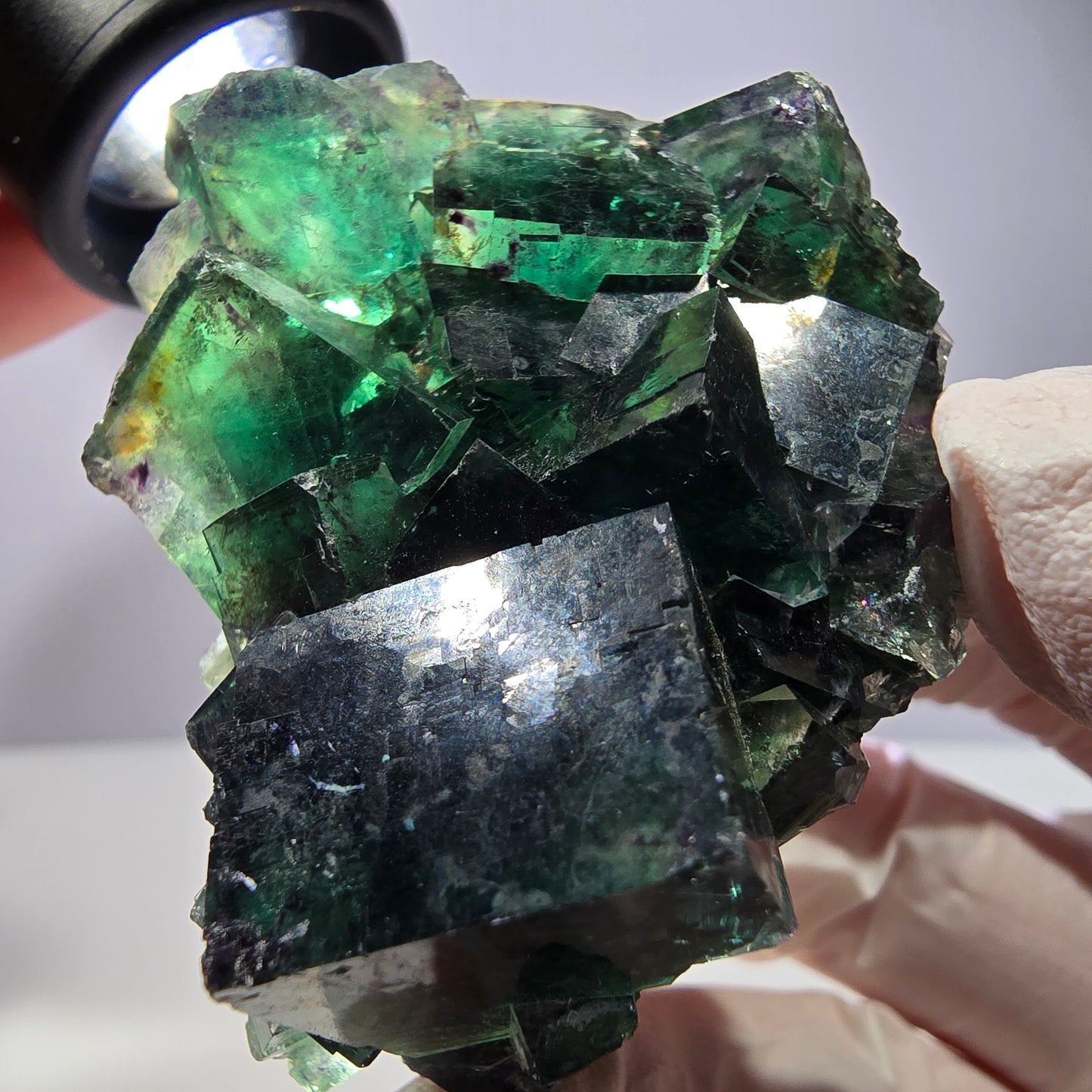 Spécimen de cube de fluorite fantôme, parqueté vert violet Okorusu, Namibie 52*46*32mm