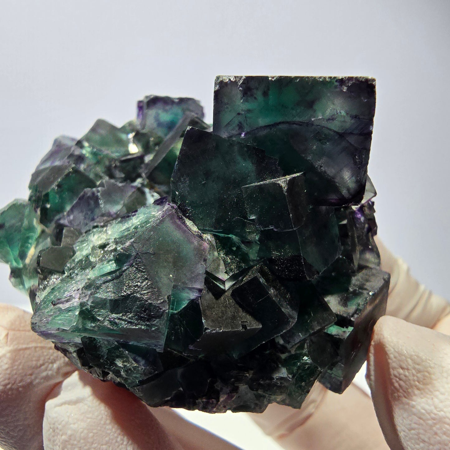 Spécimen de cube de fluorite fantôme, parqueté vert violet Okorusu, Namibie 59*46*39 mm