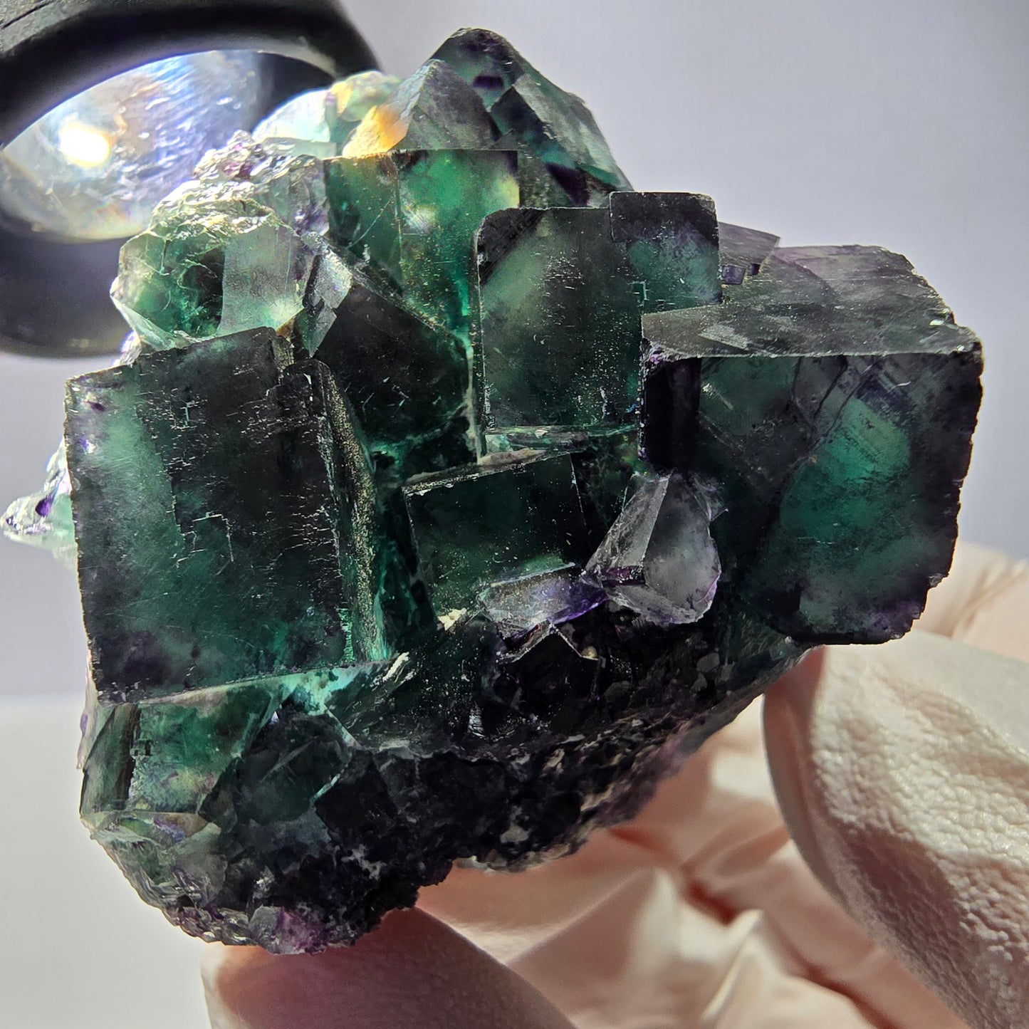 Spécimen de cube de fluorite fantôme, parqueté vert violet Okorusu, Namibie 59*46*39 mm