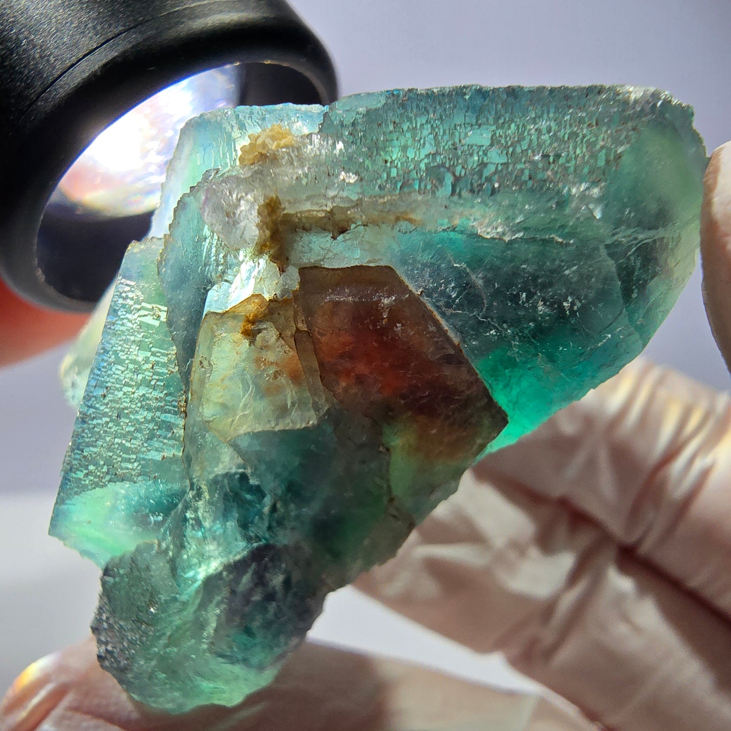 Spécimen de cube de fluorite fantôme, parqueté vert violet Okorusu, Namibie 44*43*21 mm