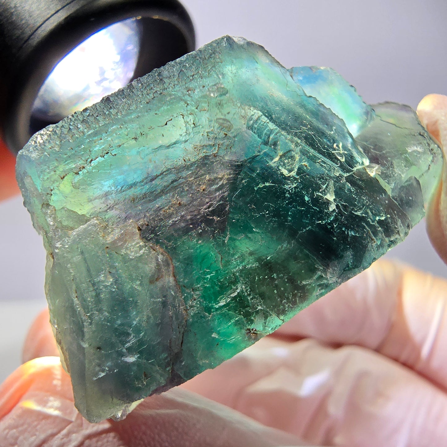 Spécimen de cube de fluorite fantôme, parqueté vert violet Okorusu, Namibie 44*43*21 mm