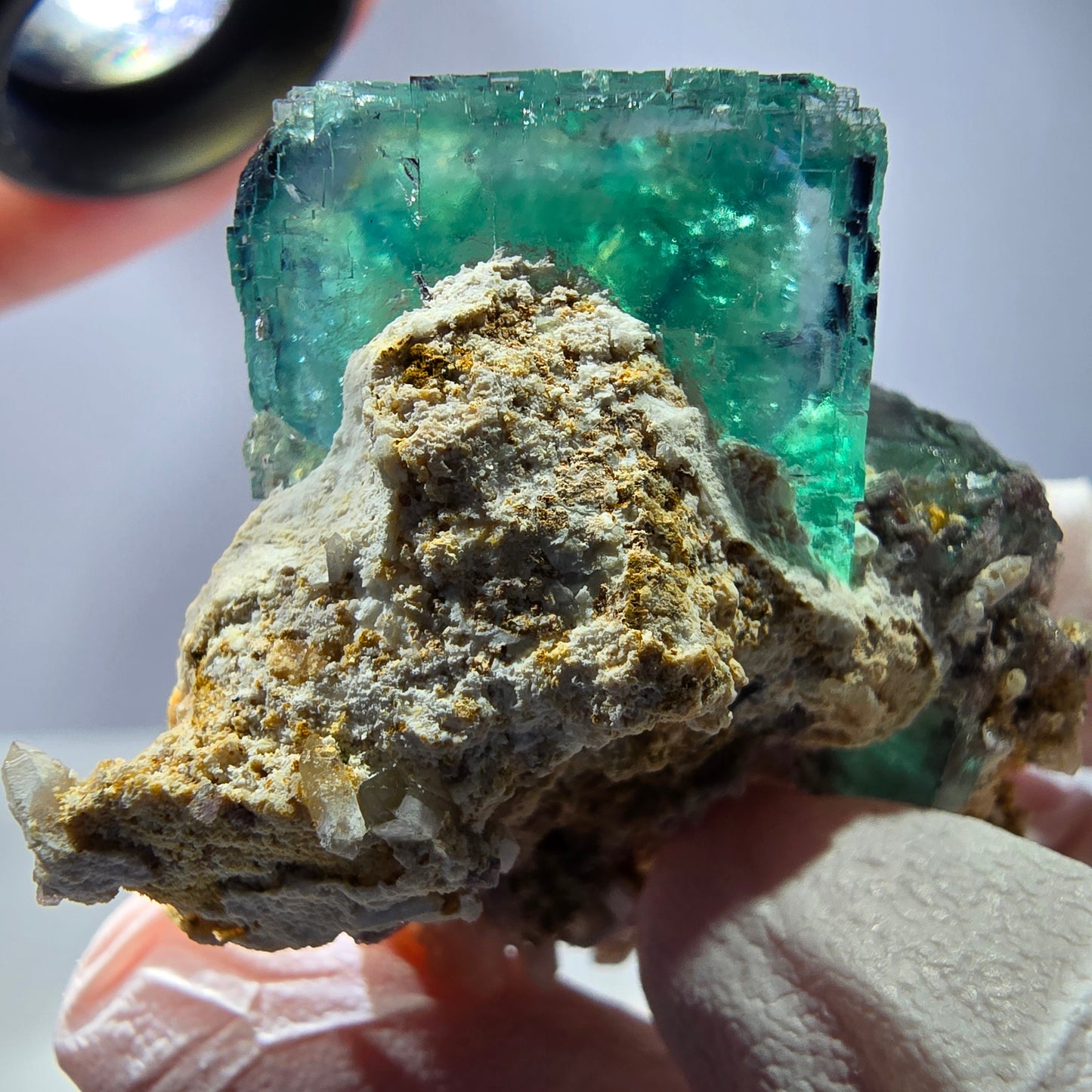 Spécimen de cube de fluorite fantôme, parqueté vert violet Okorusu, Namibie 46*37*36 mm