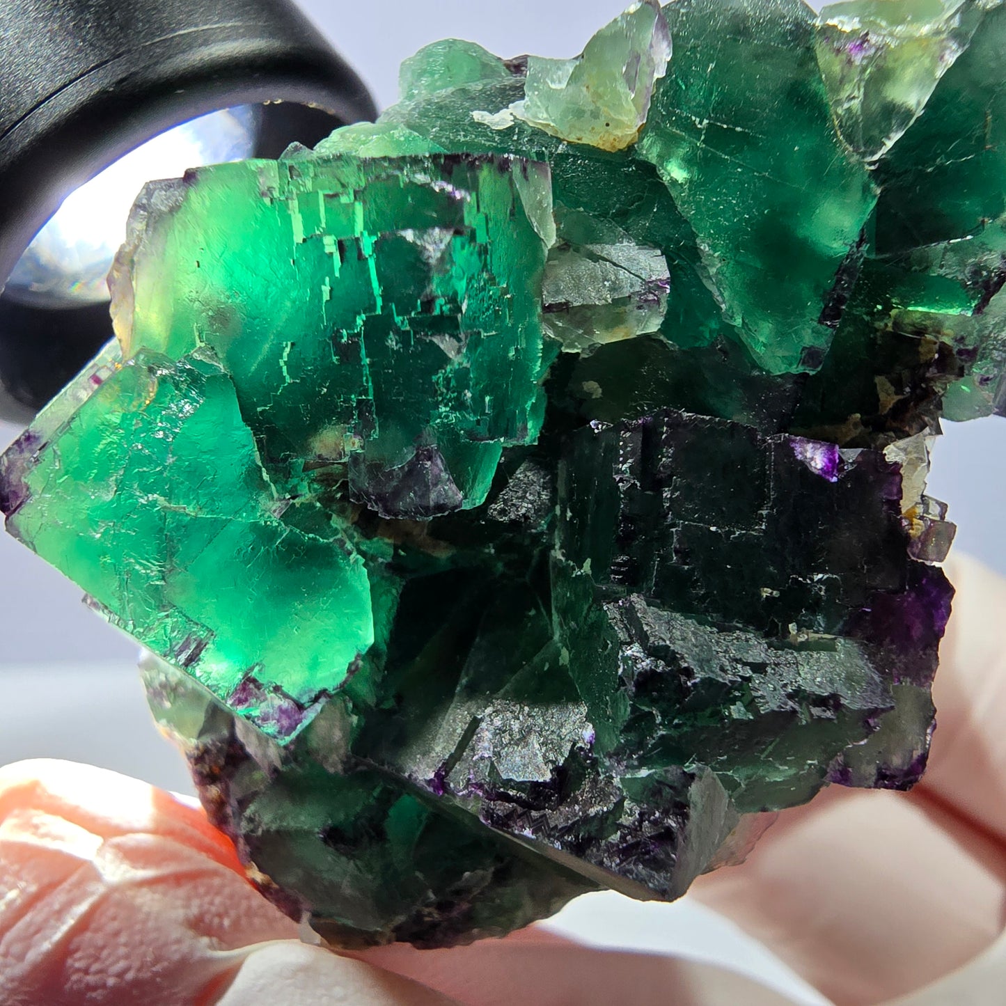 Spécimen de cube de fluorite fantôme, parqueté, zonal Okorusu, Namibie 54 x 39 x 28 mm
