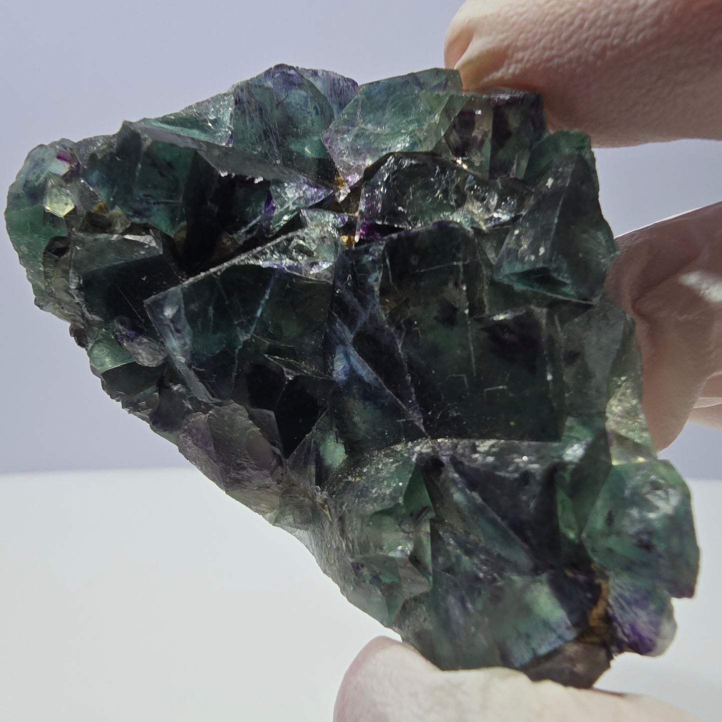 Spécimen de cube de fluorite fantôme, parqueté vert violet Okorusu, Namibie 64*41*19 mm