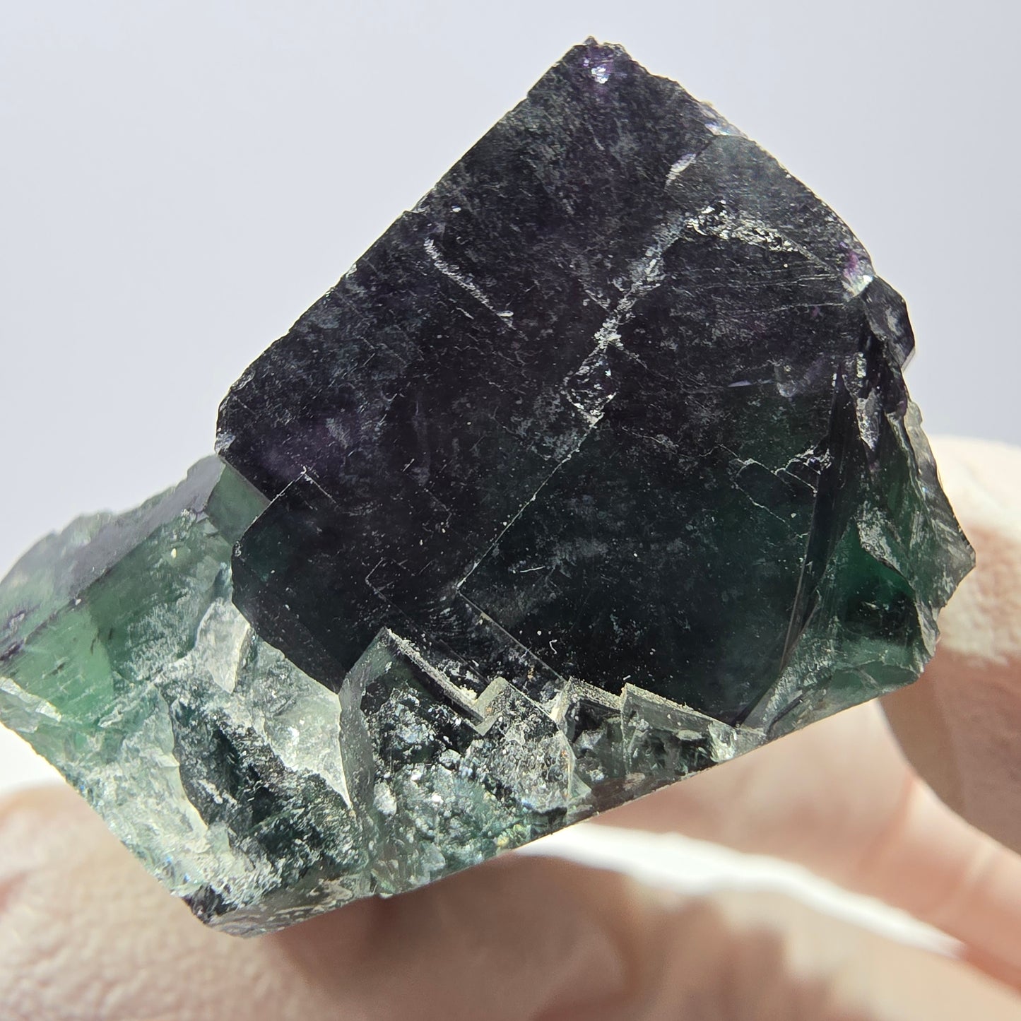 Spécimen de cube de fluorite fantôme, parqueté vert violet Okorusu, Namibie 36*31*29 mm