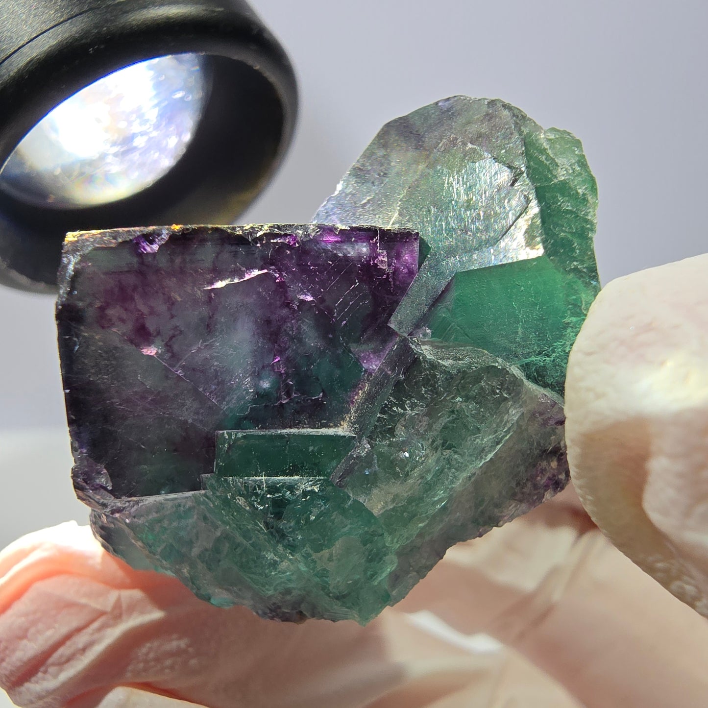 Spécimen de cube de fluorite fantôme, parqueté vert violet Okorusu, Namibie 36*31*29 mm