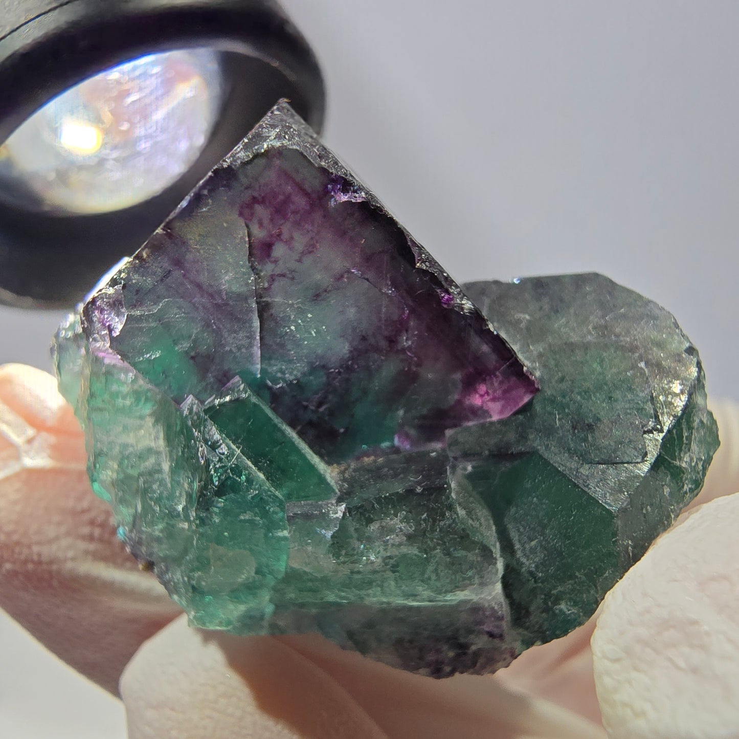 Spécimen de cube de fluorite fantôme, parqueté vert violet Okorusu, Namibie 36*31*29 mm