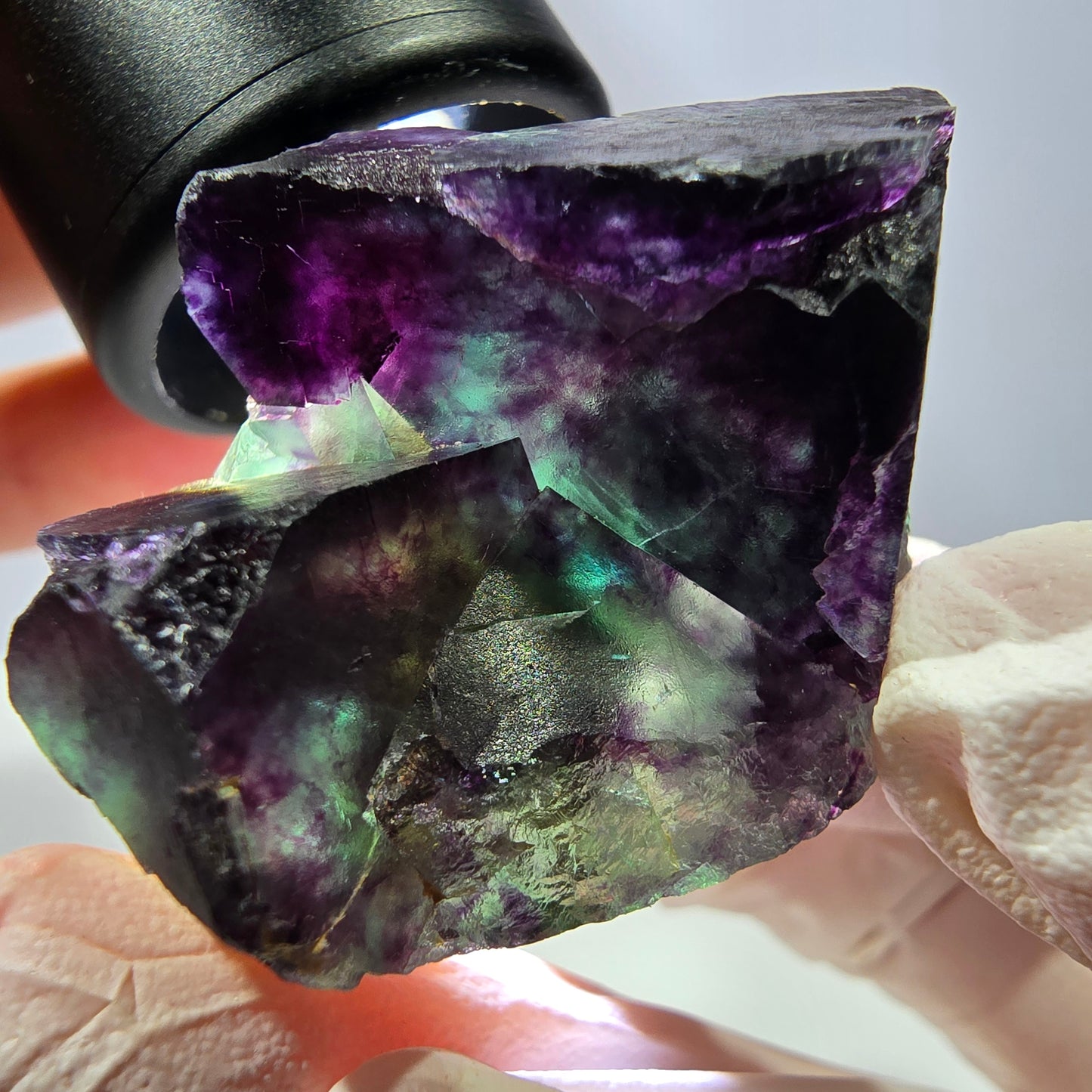 Spécimen de cube de fluorite fantôme, parqueté vert violet Okorusu, Namibie 46*34*25 mm