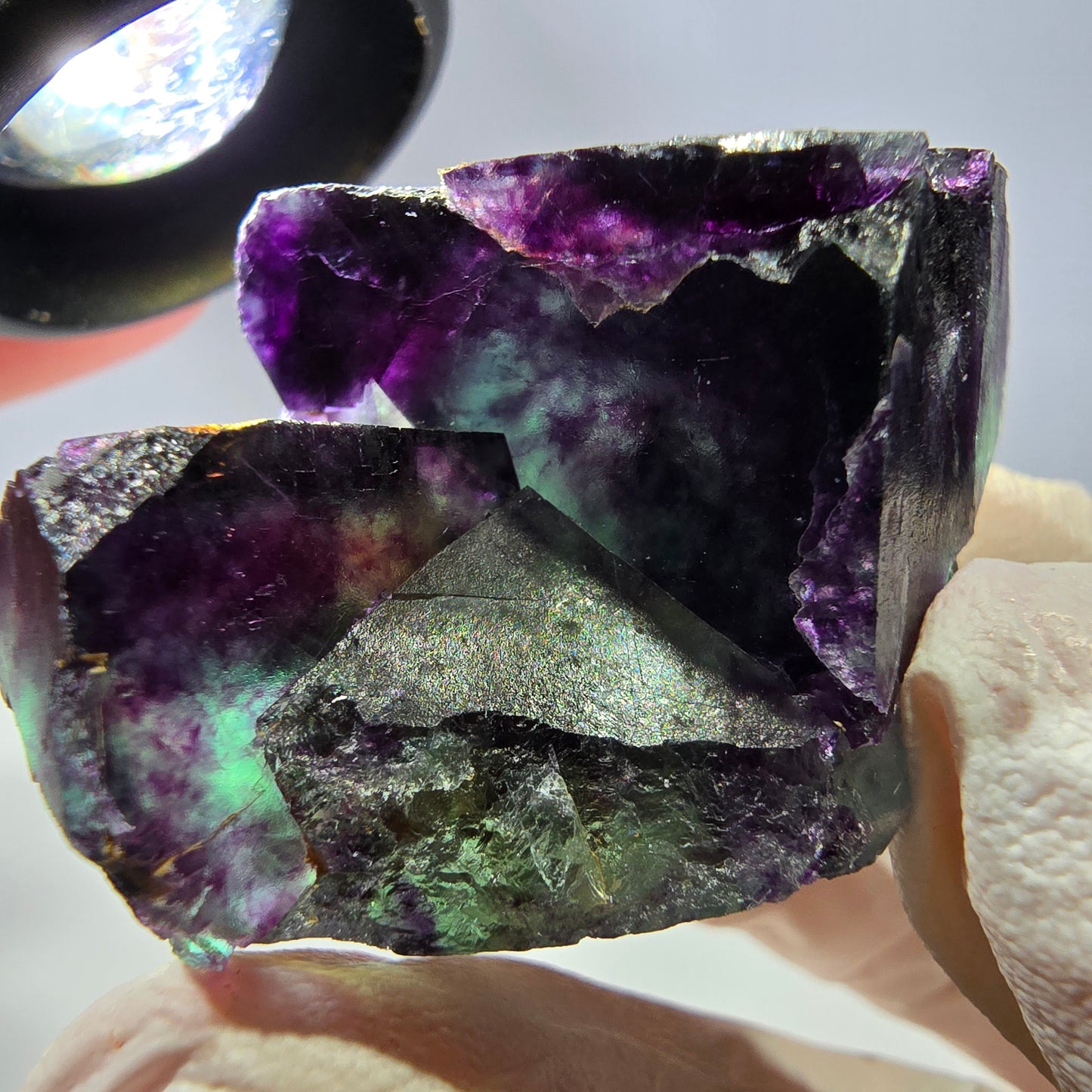 Spécimen de cube de fluorite fantôme, parqueté vert violet Okorusu, Namibie 46*34*25 mm