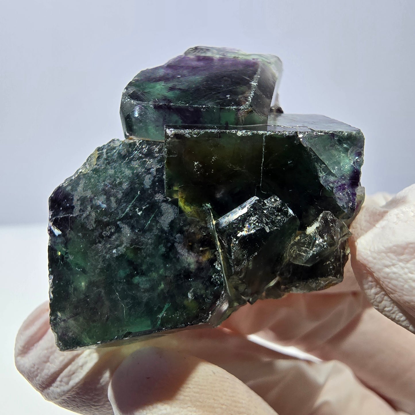 Spécimen de cube de fluorite fantôme, parqueté vert violet Okorusu, Namibie 33*34*21 mm