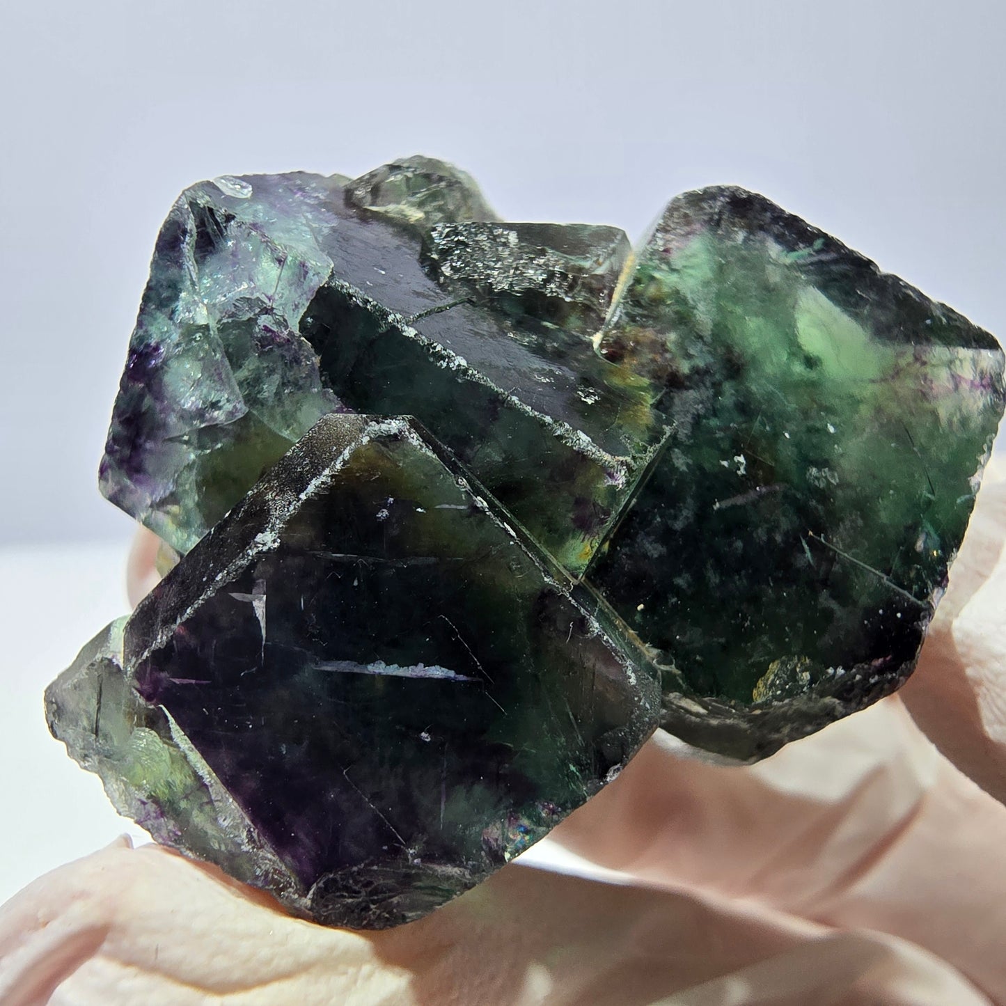 Spécimen de cube de fluorite fantôme, parqueté vert violet Okorusu, Namibie 33*34*21 mm