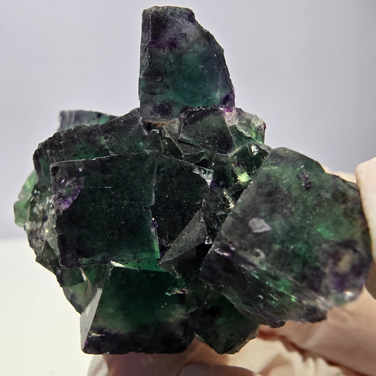 Spécimen de cube de fluorite fantôme, parqueté vert violet Okorusu, Namibie 51*39*24 mm