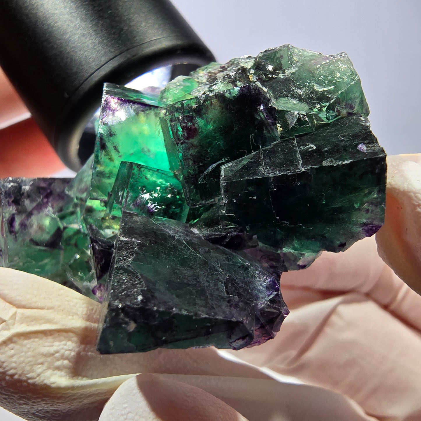 Spécimen de cube de fluorite fantôme, parqueté vert violet Okorusu, Namibie 51*39*24 mm