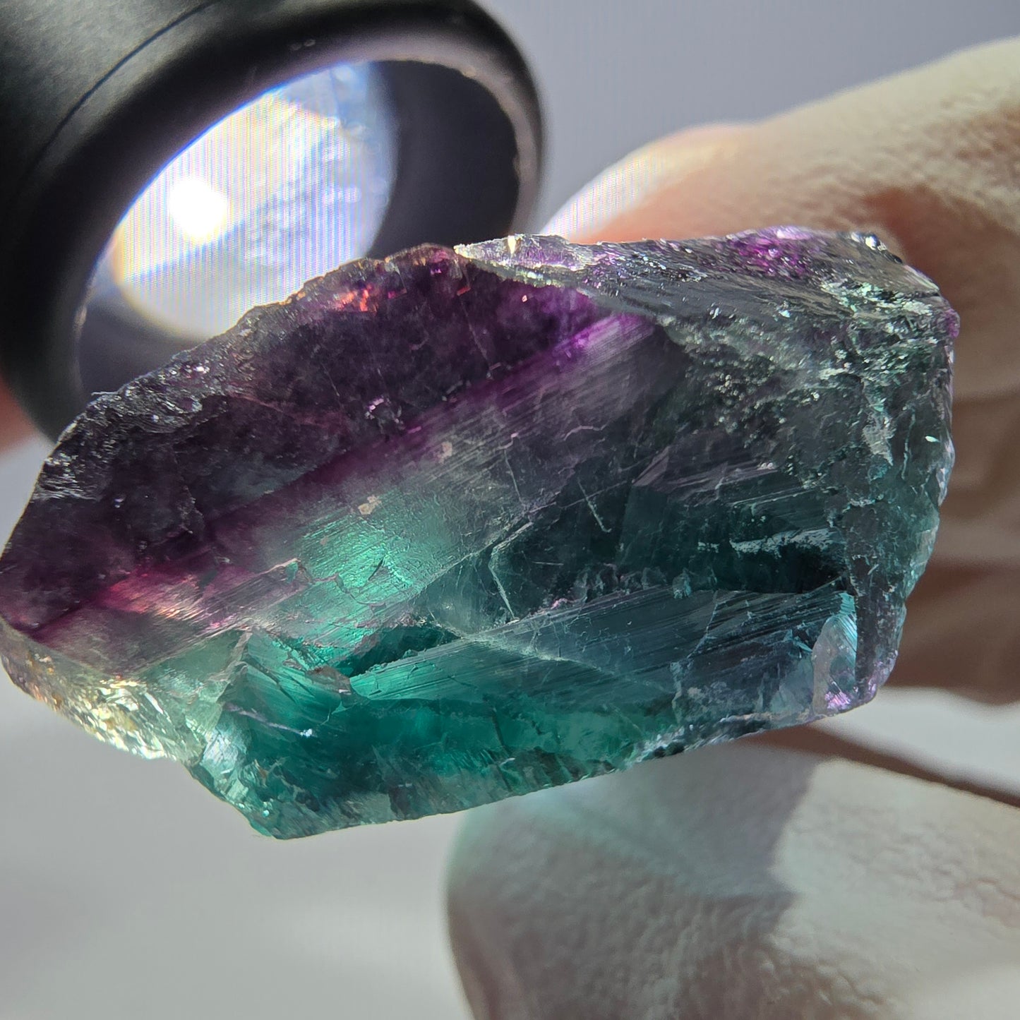 Spécimen de cube de fluorite fantôme, parqueté vert violet Okorusu, Namibie 51*35*16 mm