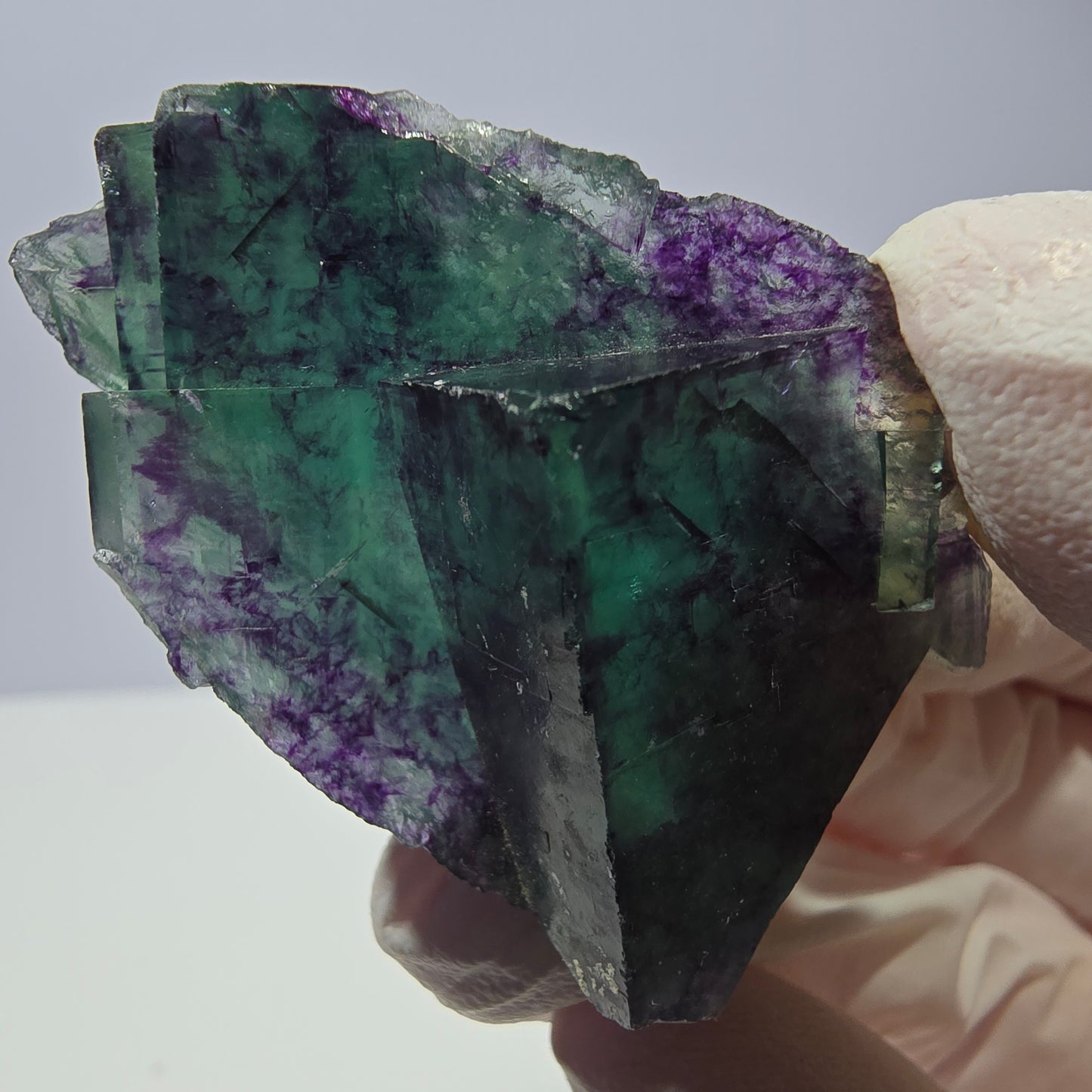 Spécimen de cube de fluorite fantôme, parqueté vert violet Okorusu, Namibie 49*30*22 mm