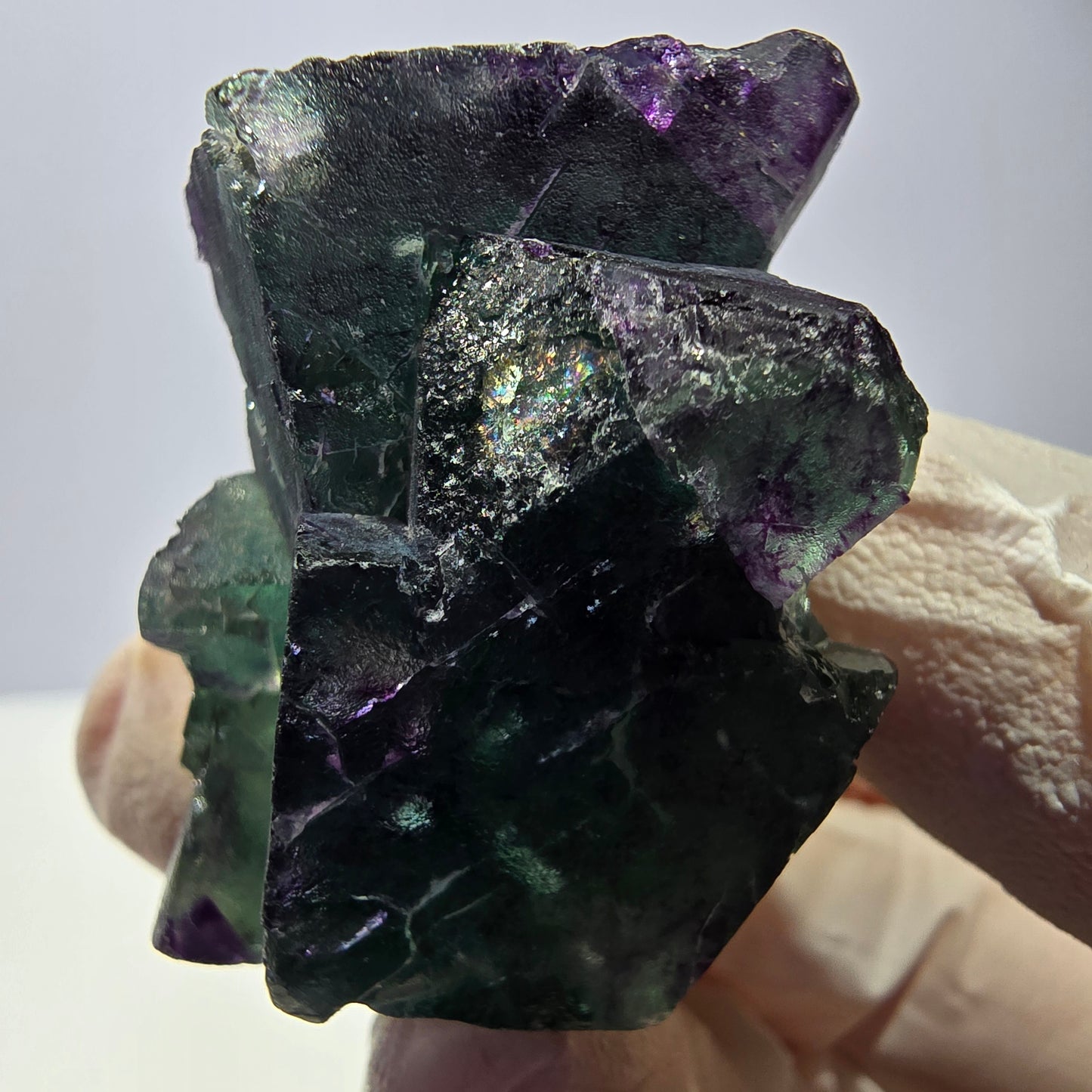 Spécimen de cube de fluorite fantôme, parqueté vert violet Okorusu, Namibie 45*33*24 mm