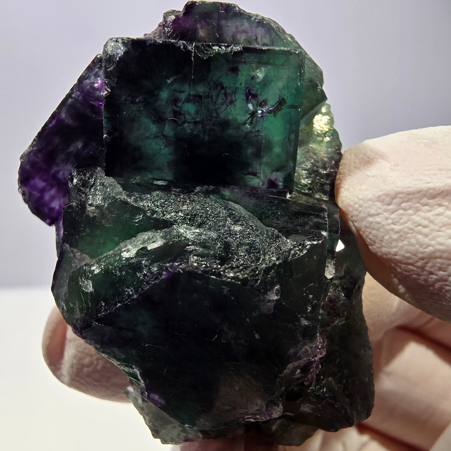 Spécimen de cube de fluorite fantôme, parqueté vert violet Okorusu, Namibie 47*35*24 mm