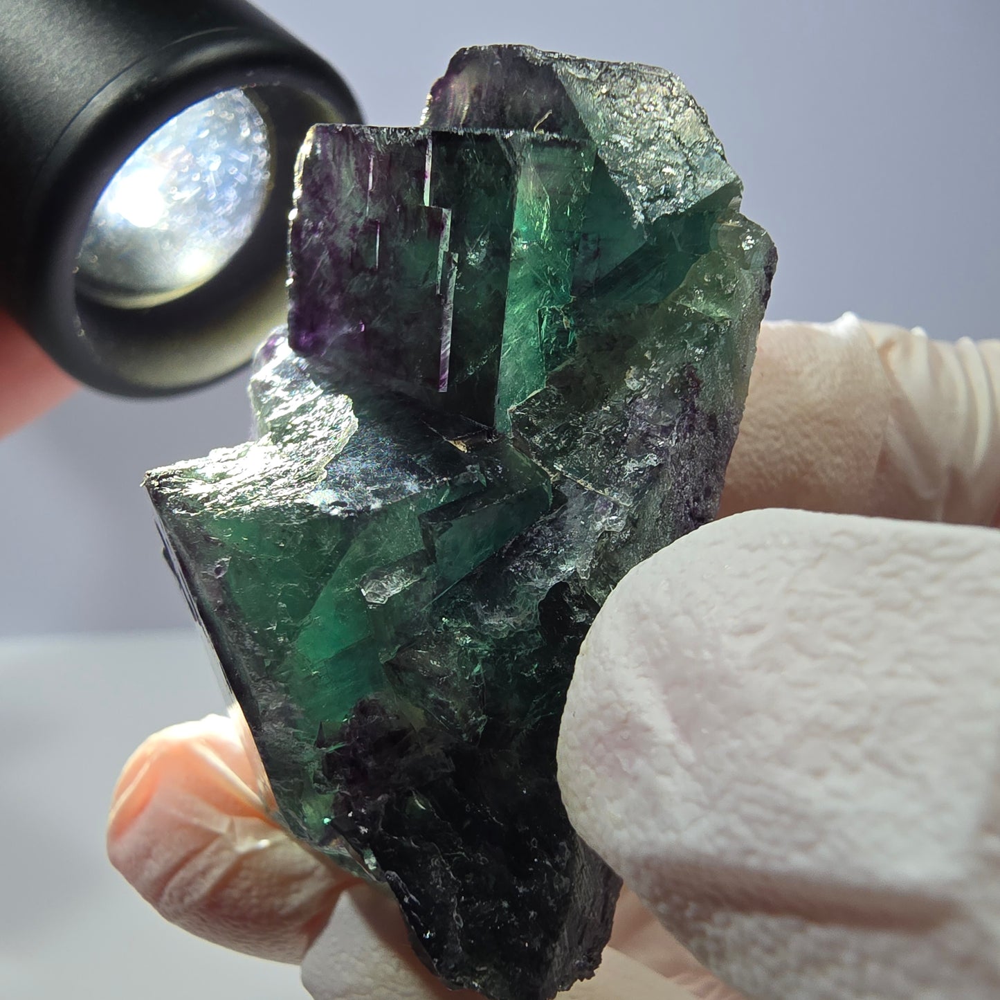 Spécimen de cube de fluorite fantôme, parqueté vert violet Okorusu, Namibie 47*35*24 mm