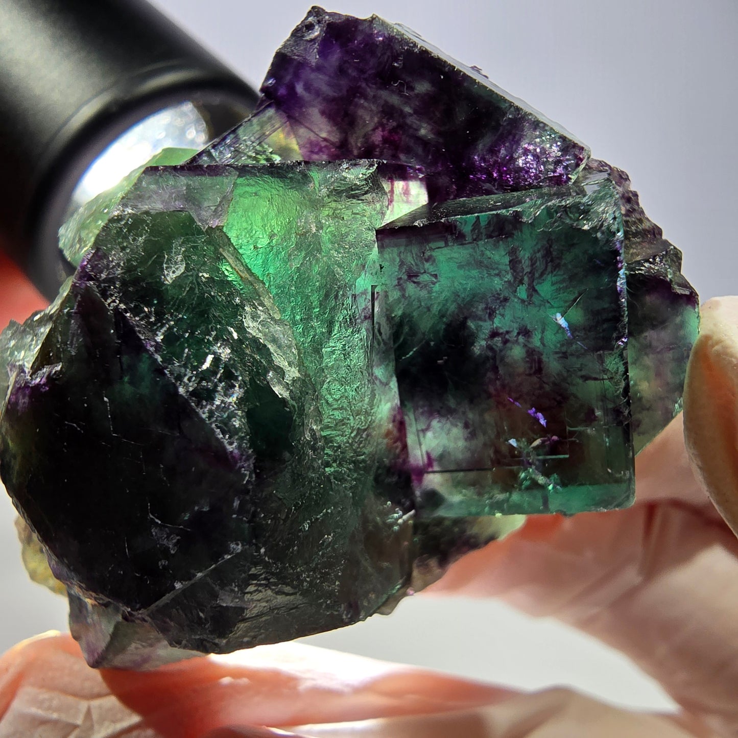Spécimen de cube de fluorite fantôme, parqueté vert violet Okorusu, Namibie 47*35*24 mm